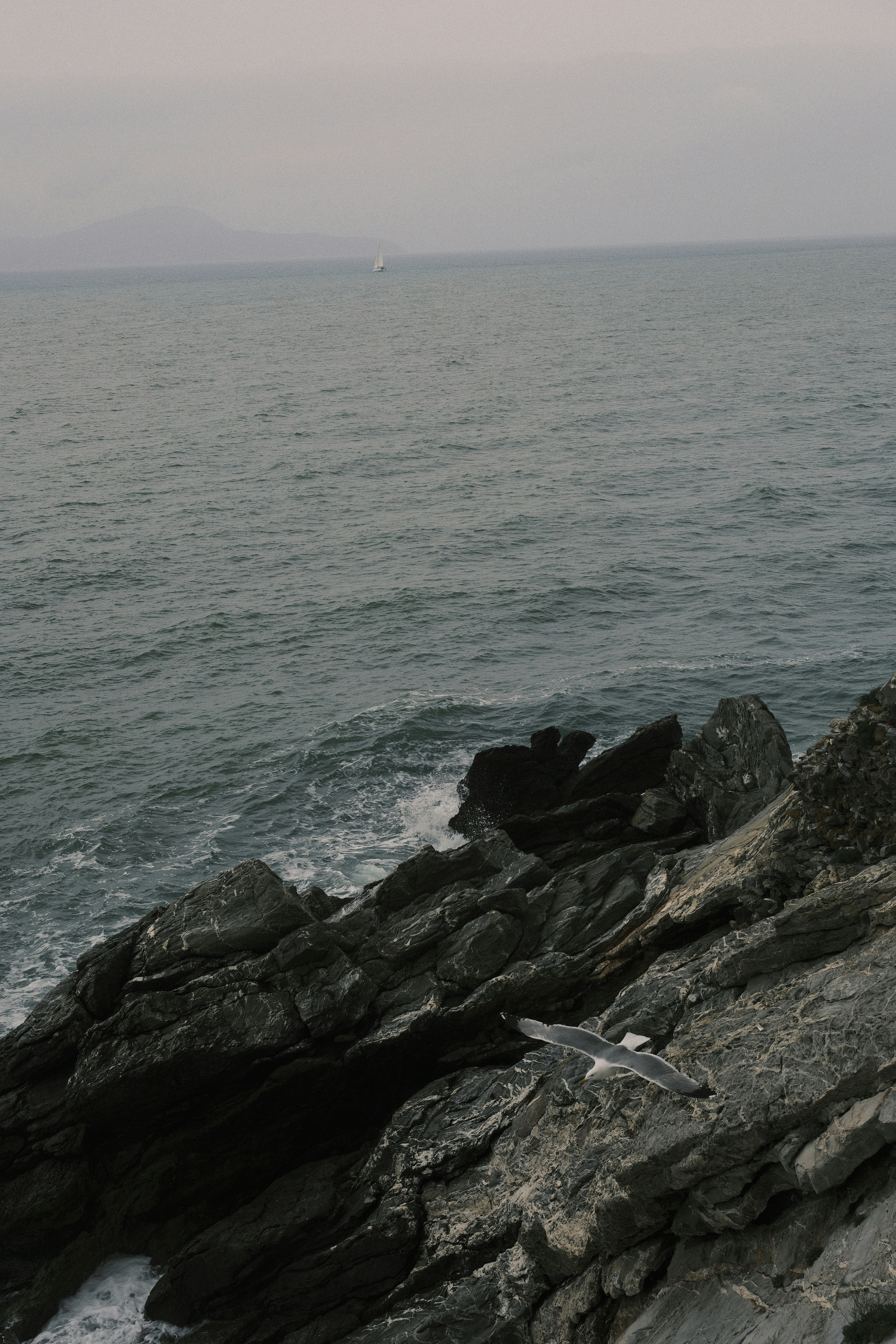 Photo by studiopizza