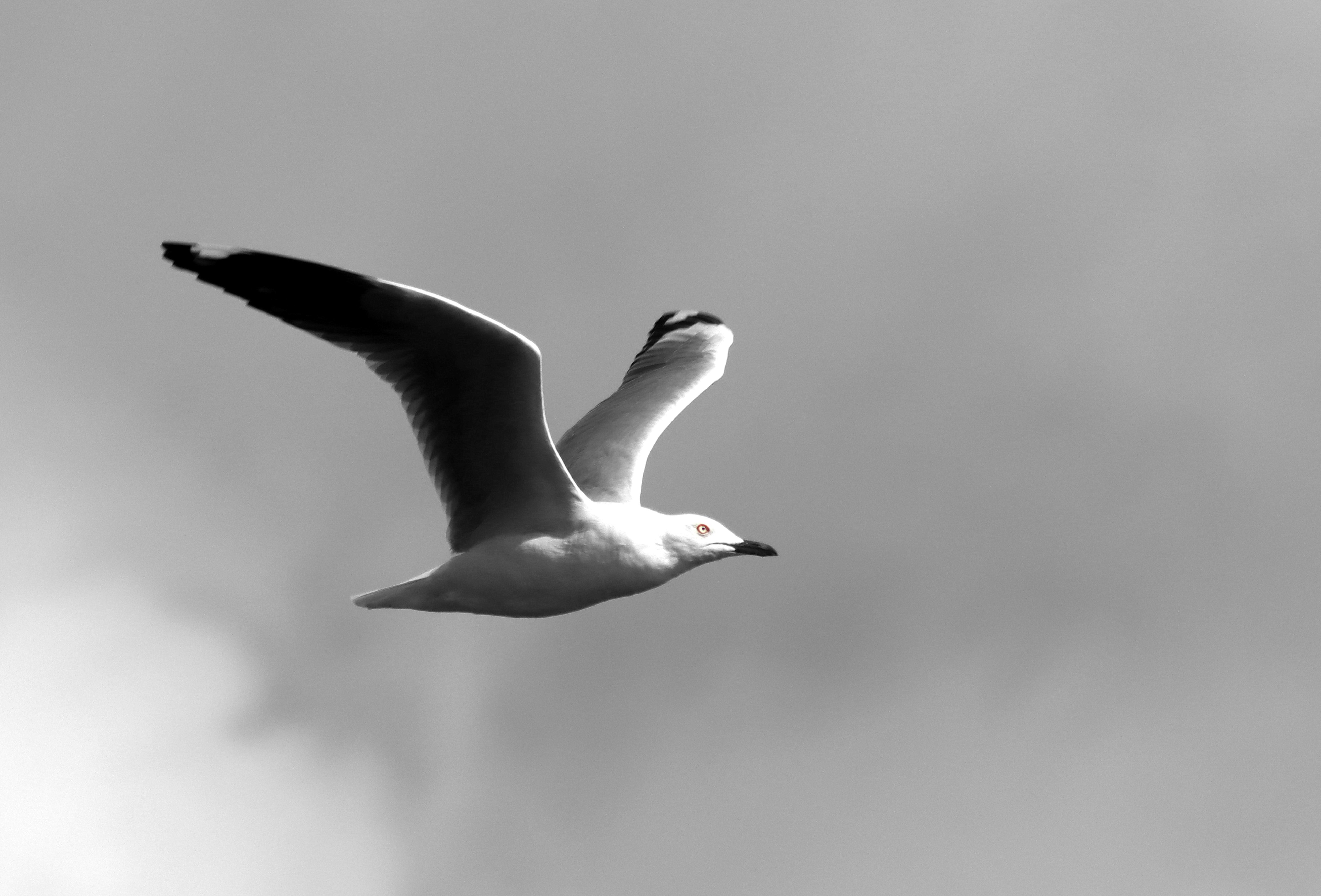 Photo by craigmanners_com