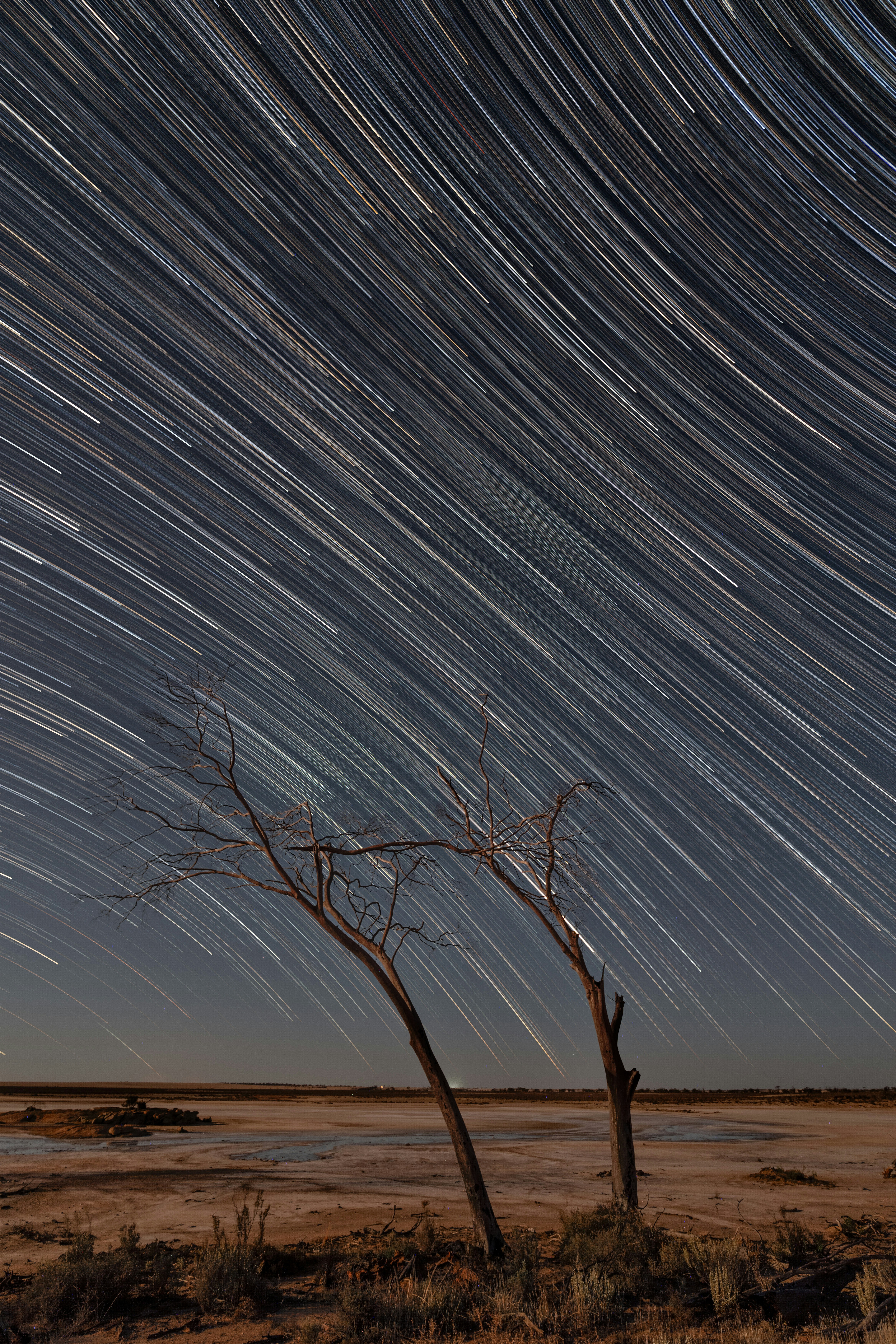 Star trails arc across the night sky.