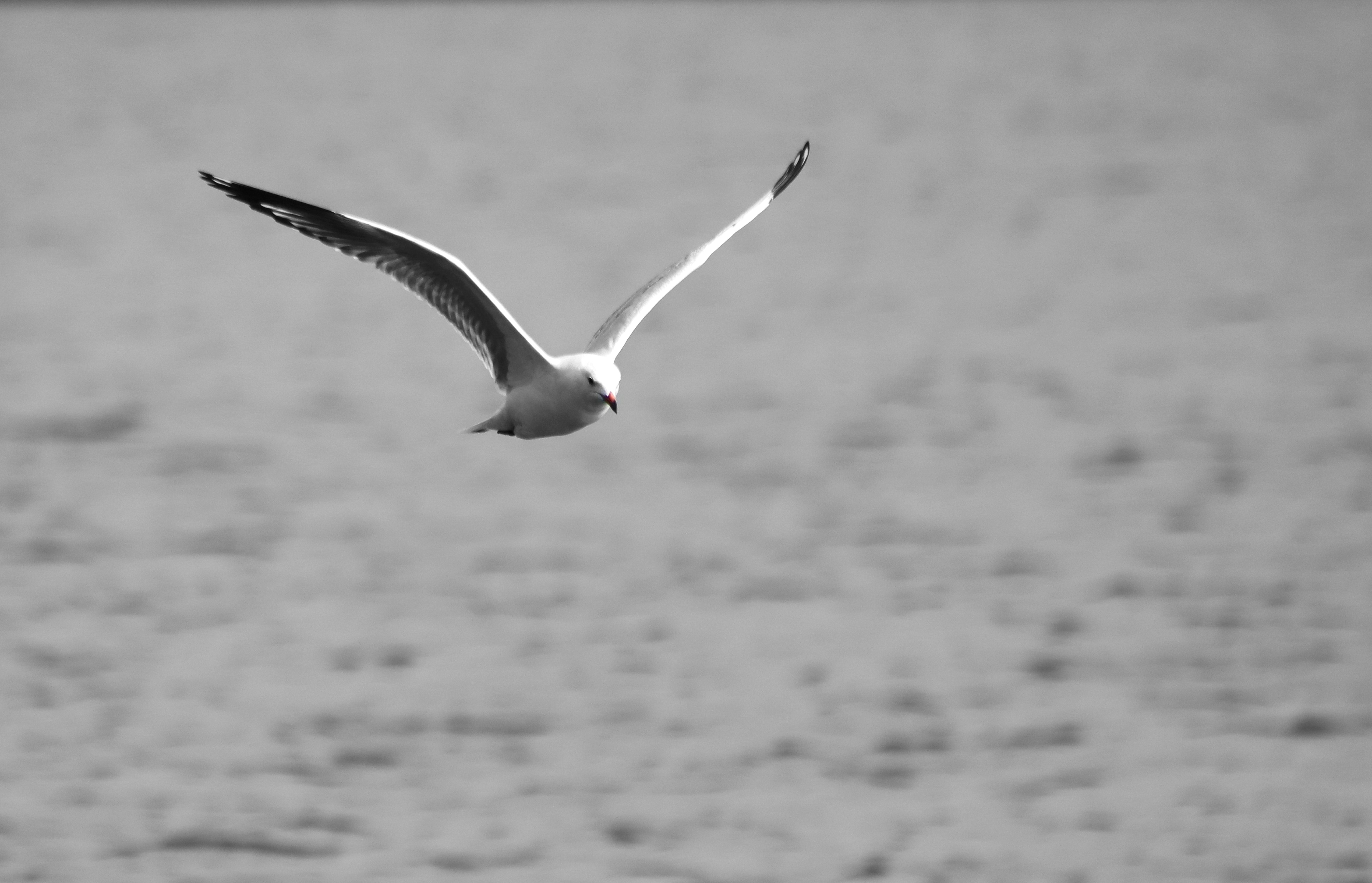 Photo by craigmanners_com