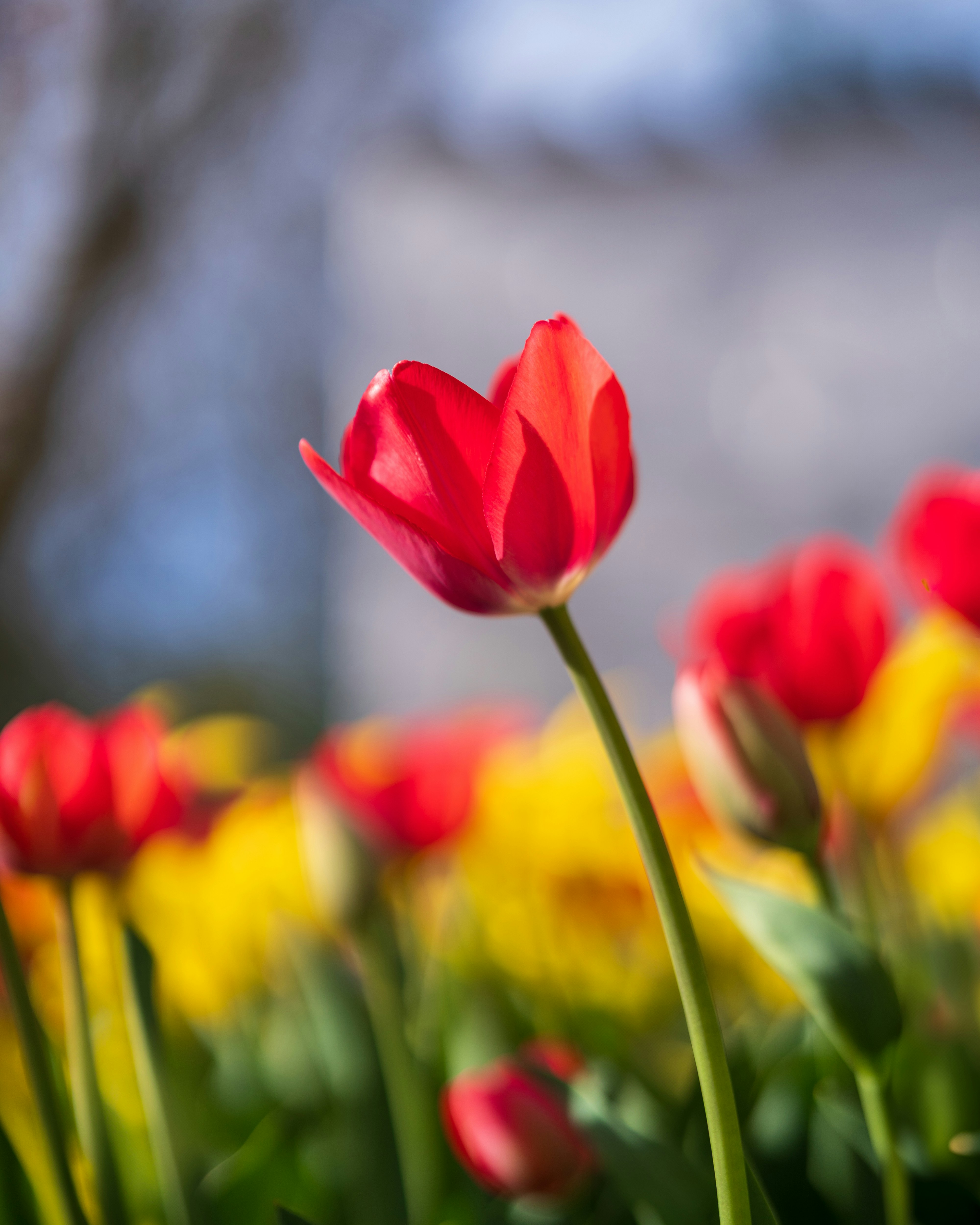 Photo by bangscreative