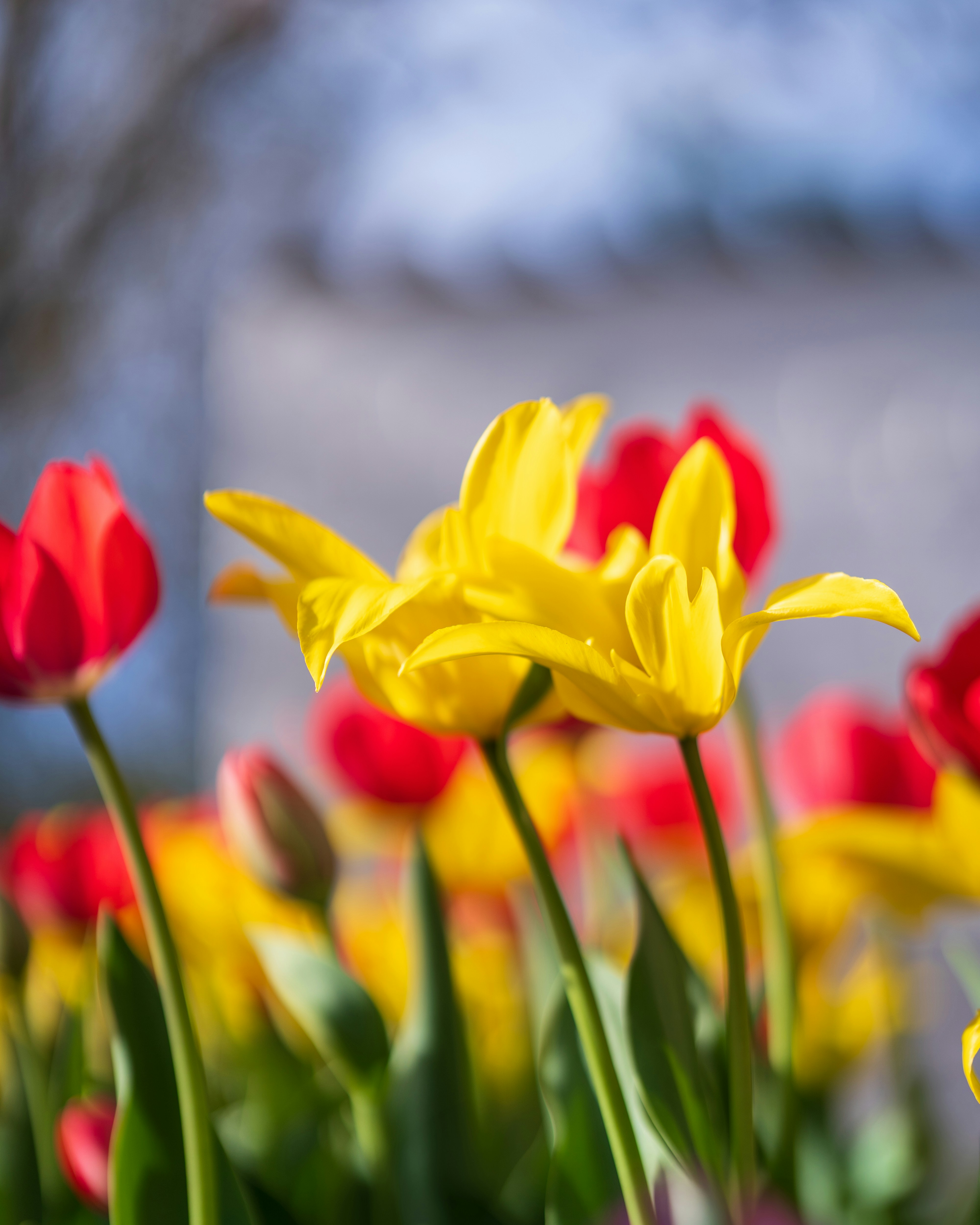 Photo by bangscreative