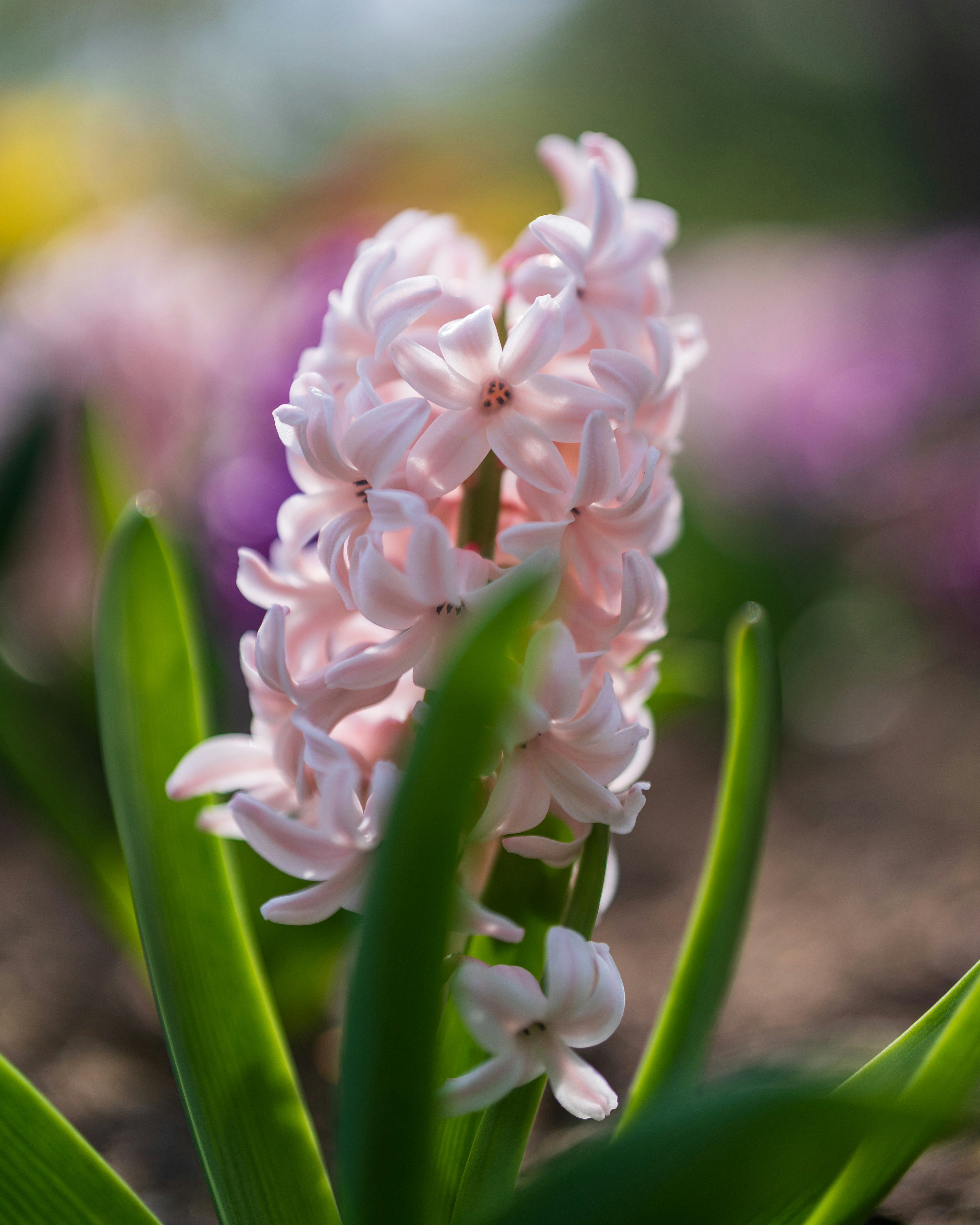 Photo by bangscreative