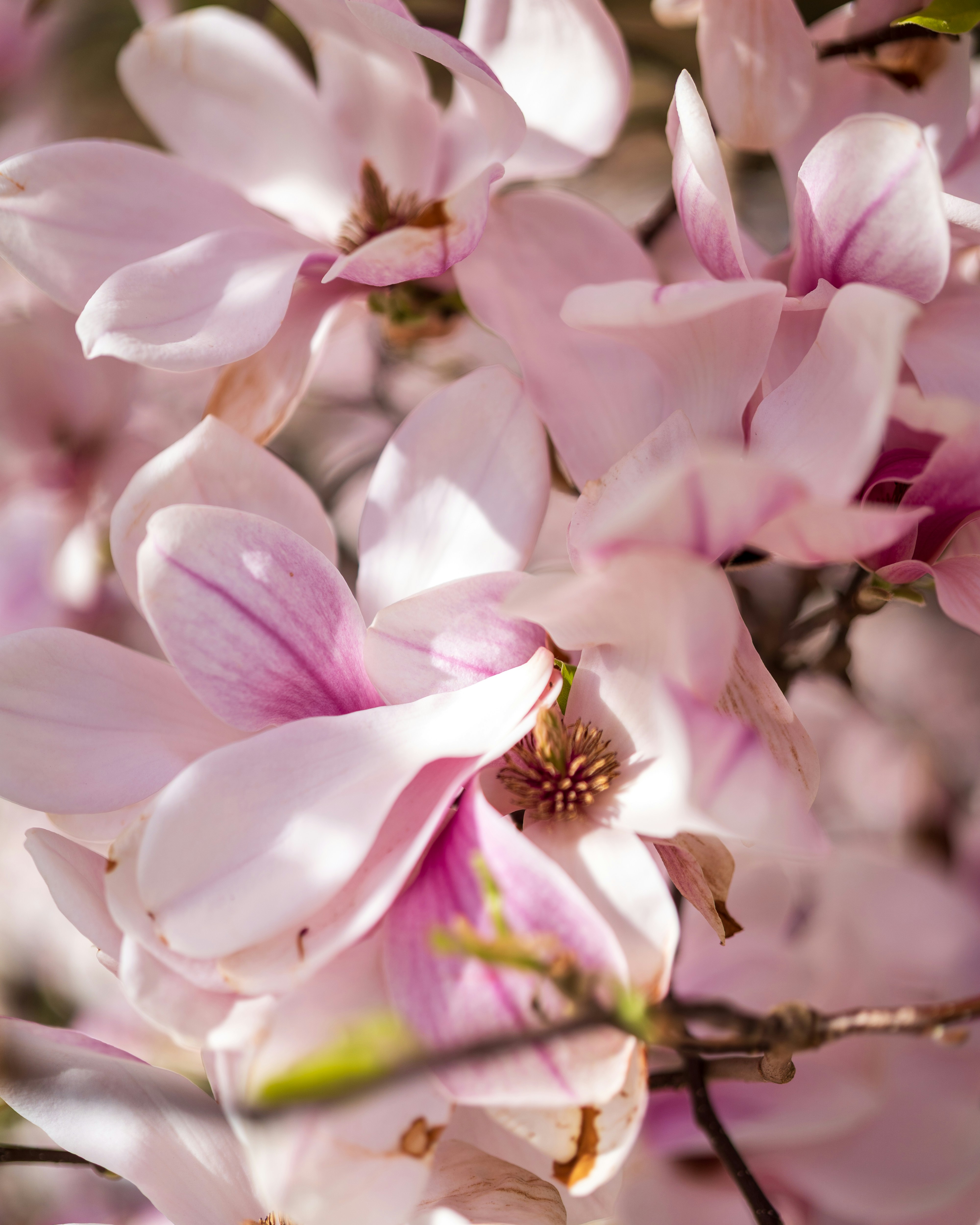 Photo by bangscreative