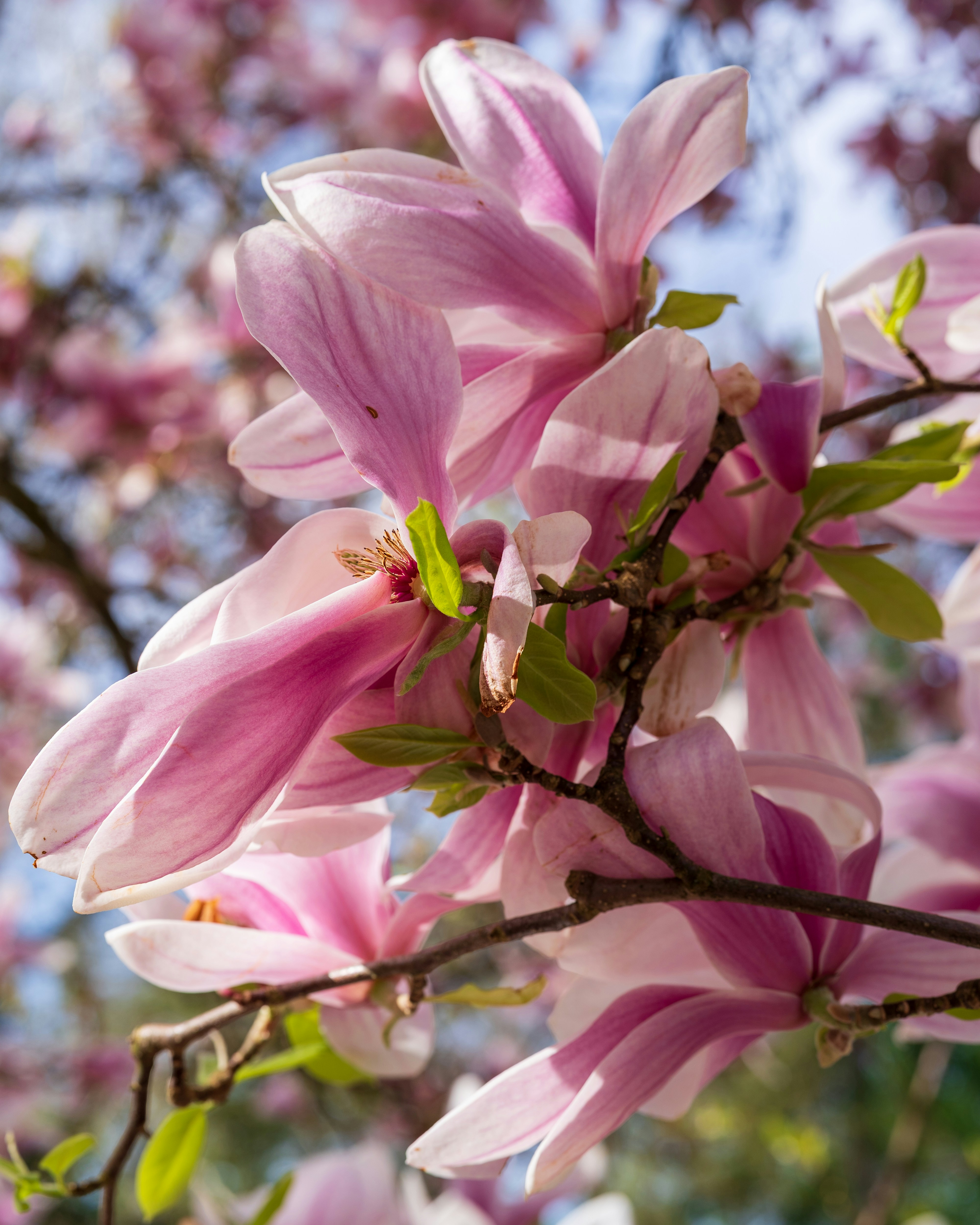 Photo by bangscreative