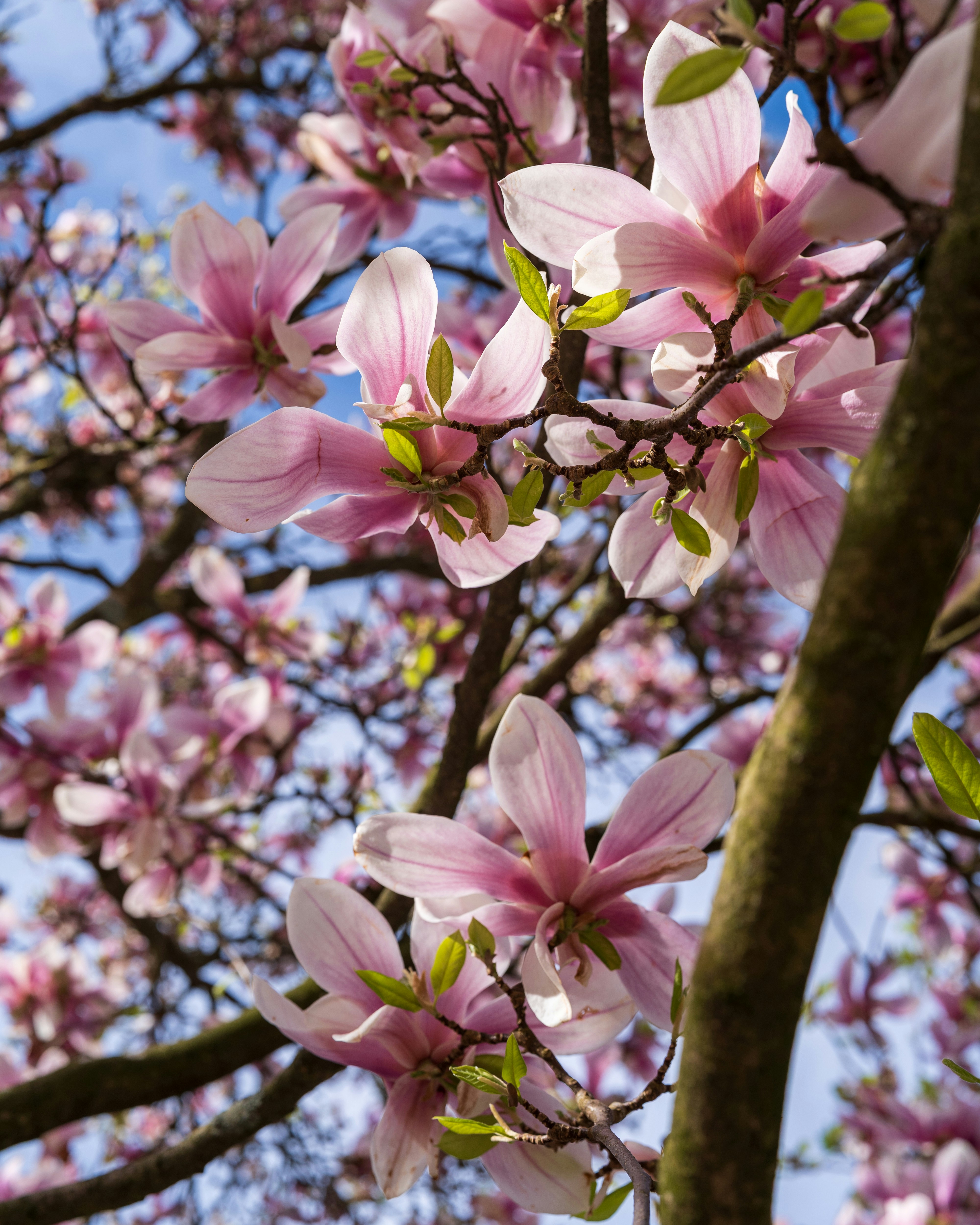 Photo by bangscreative