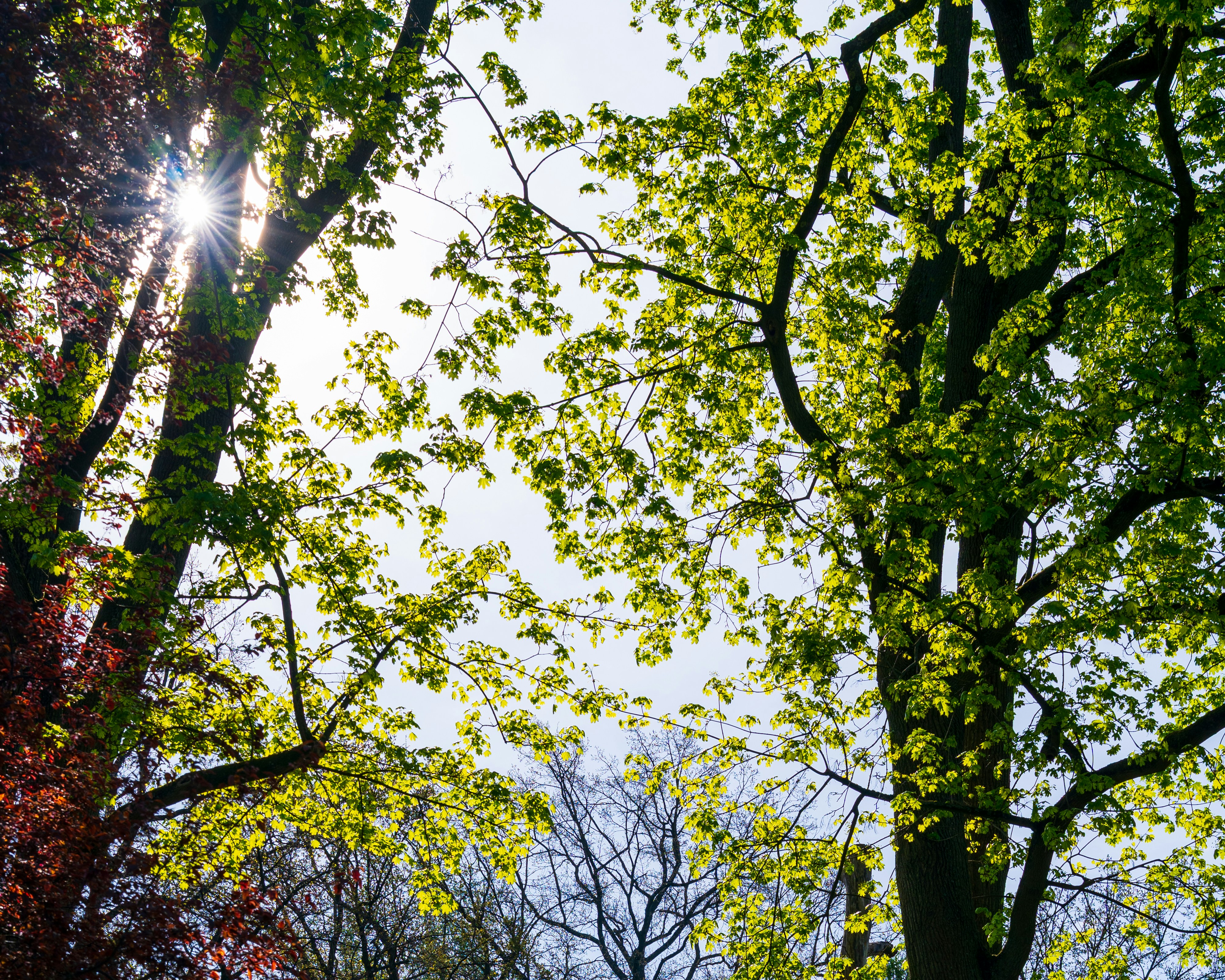 Photo by bangscreative