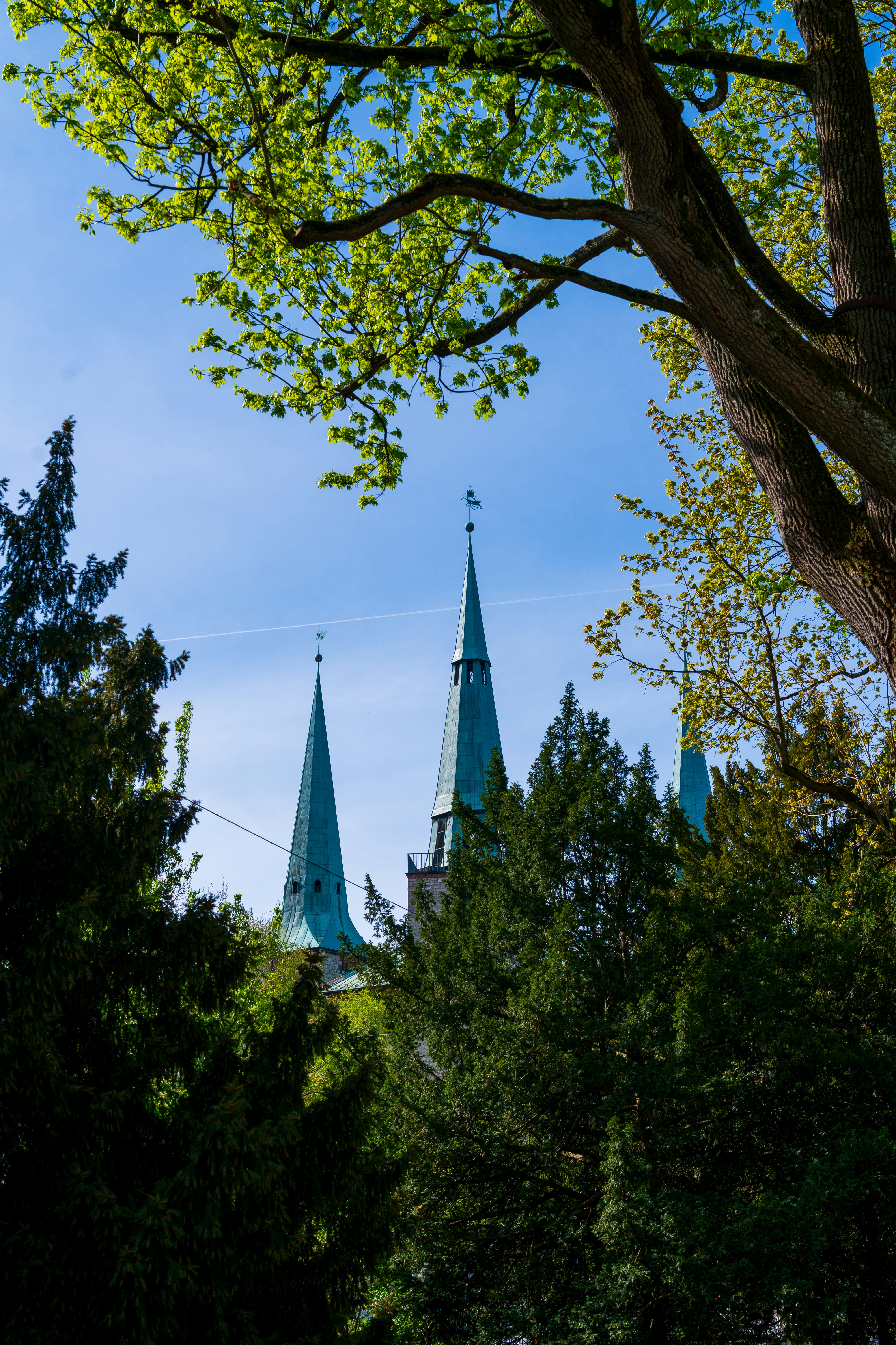 Photo by bangscreative