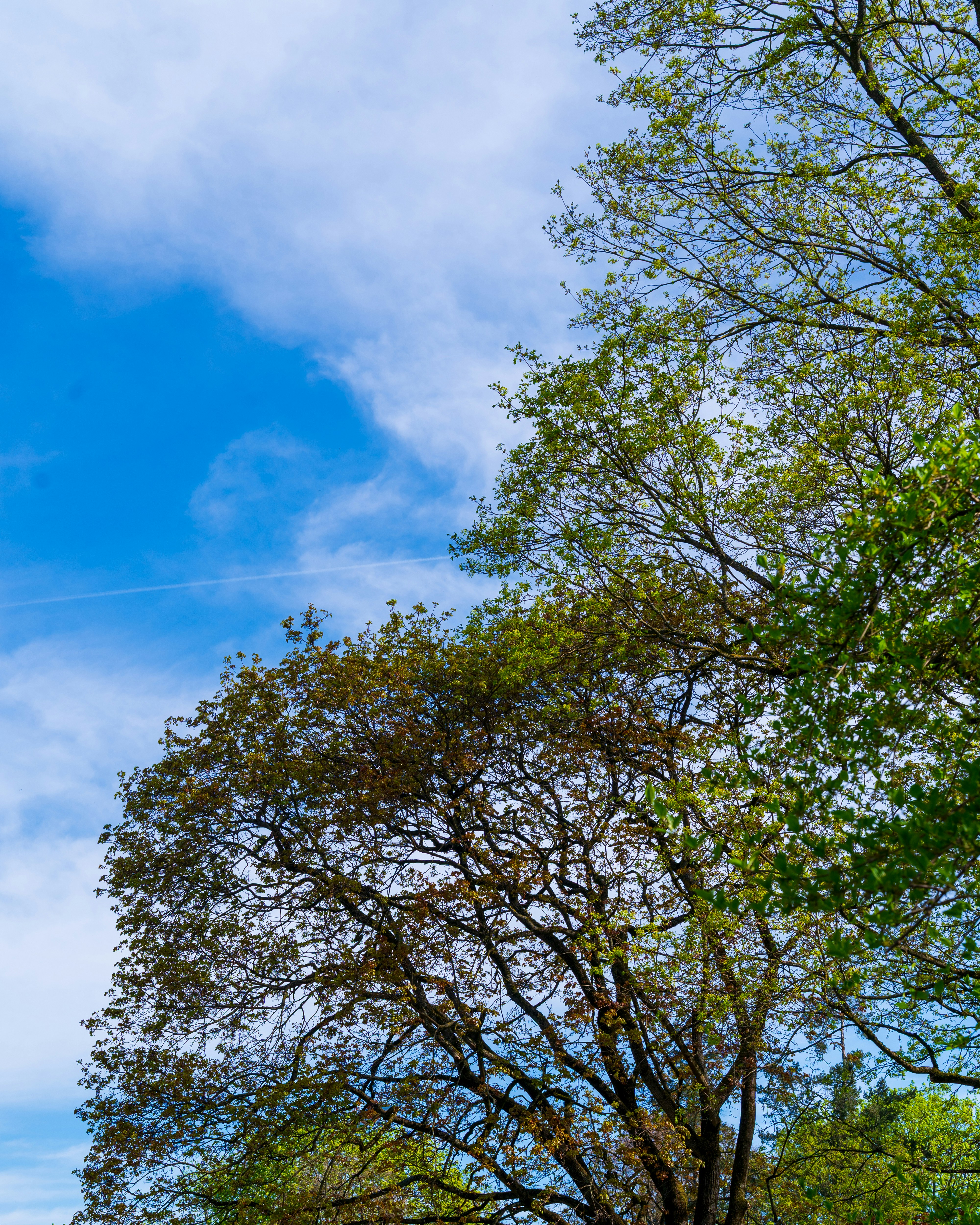 Photo by bangscreative