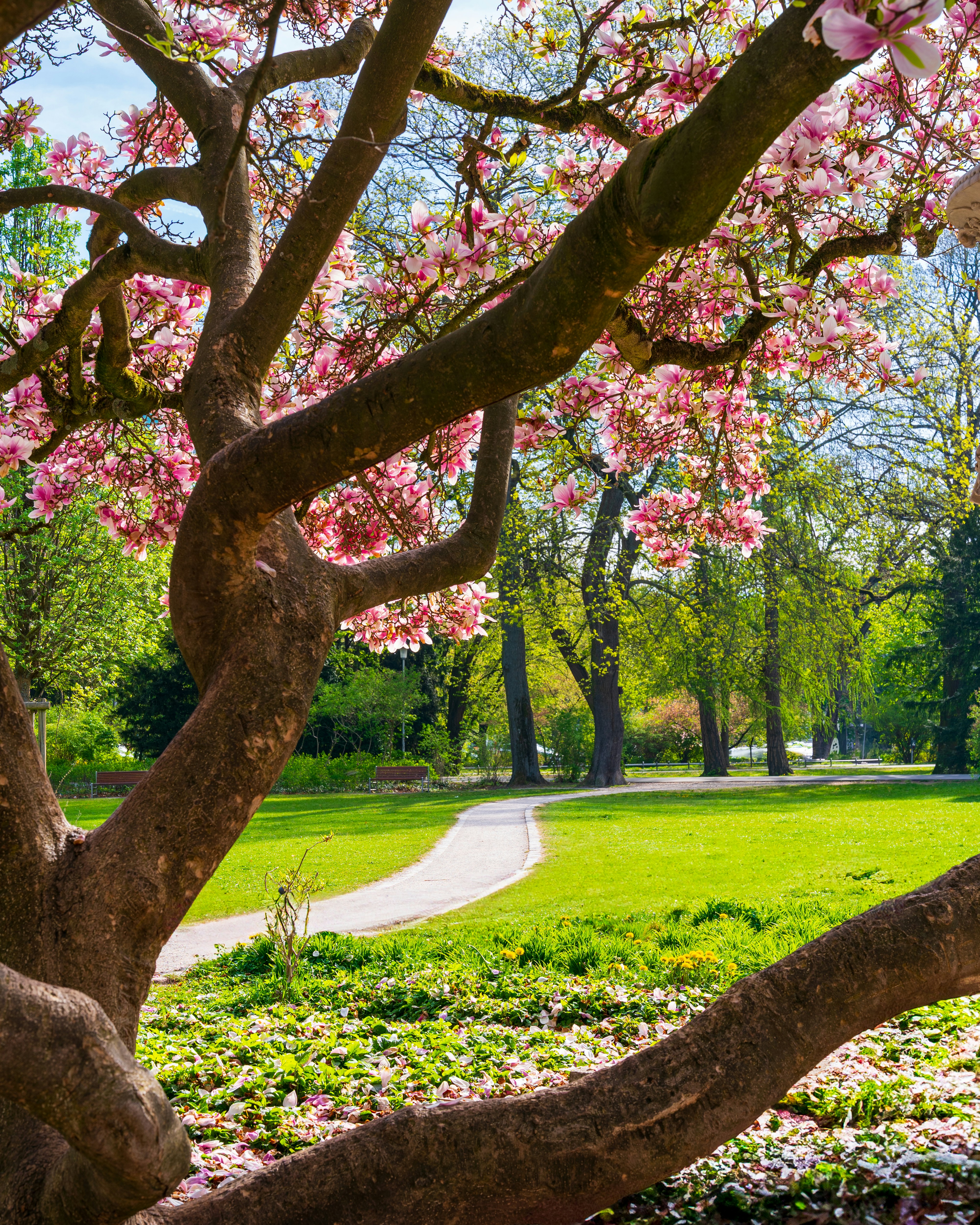 Photo by bangscreative