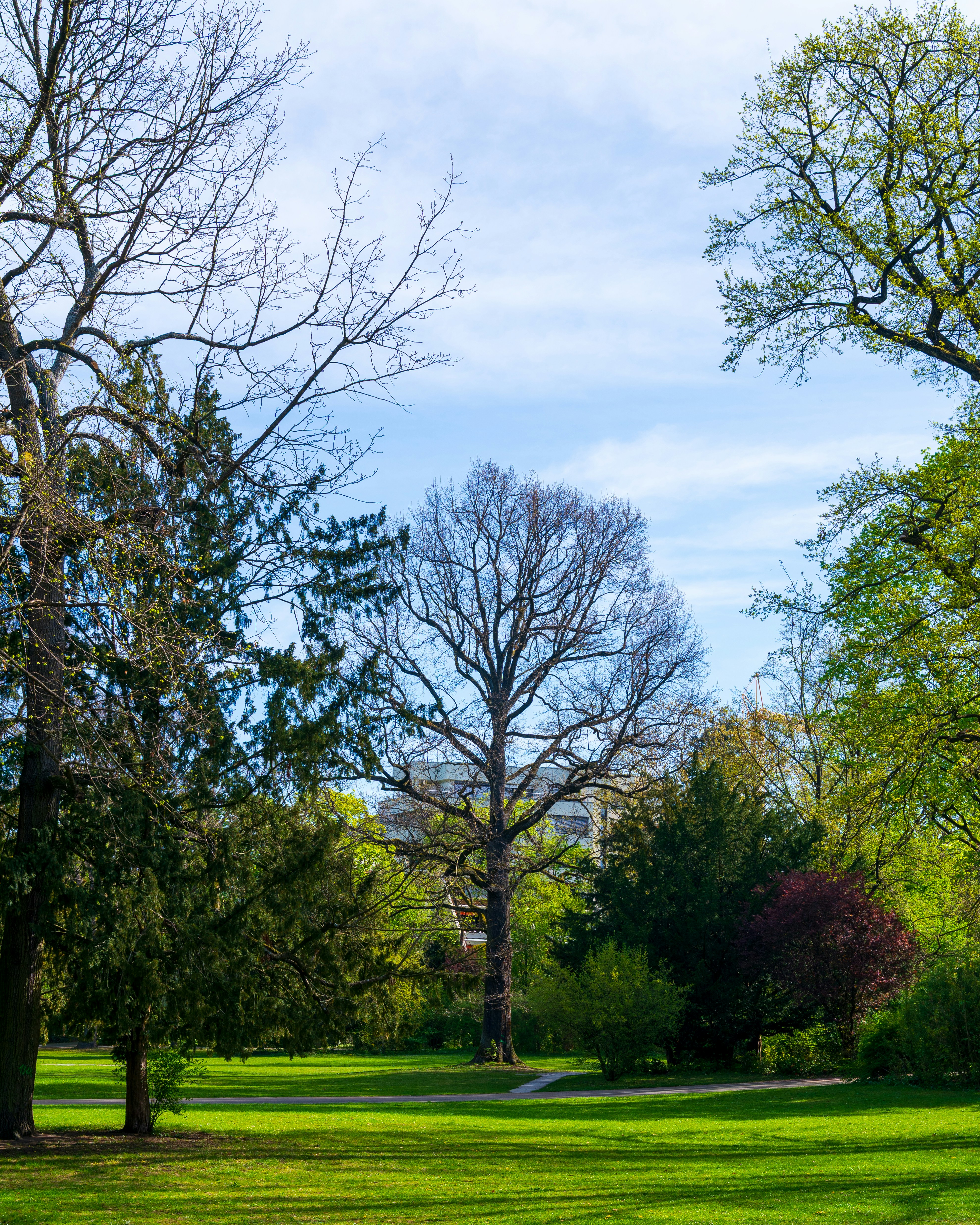 Photo by bangscreative