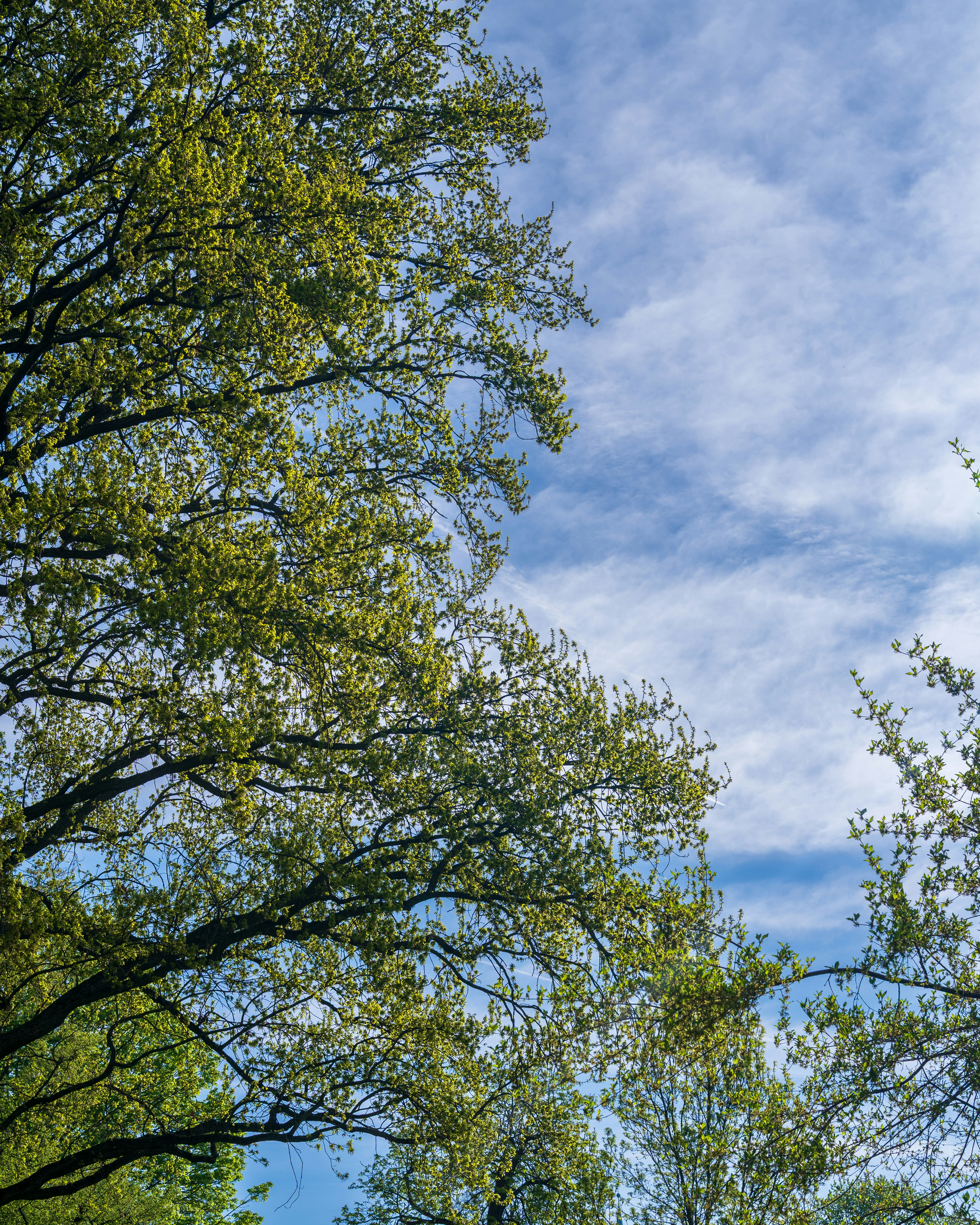 Photo by bangscreative