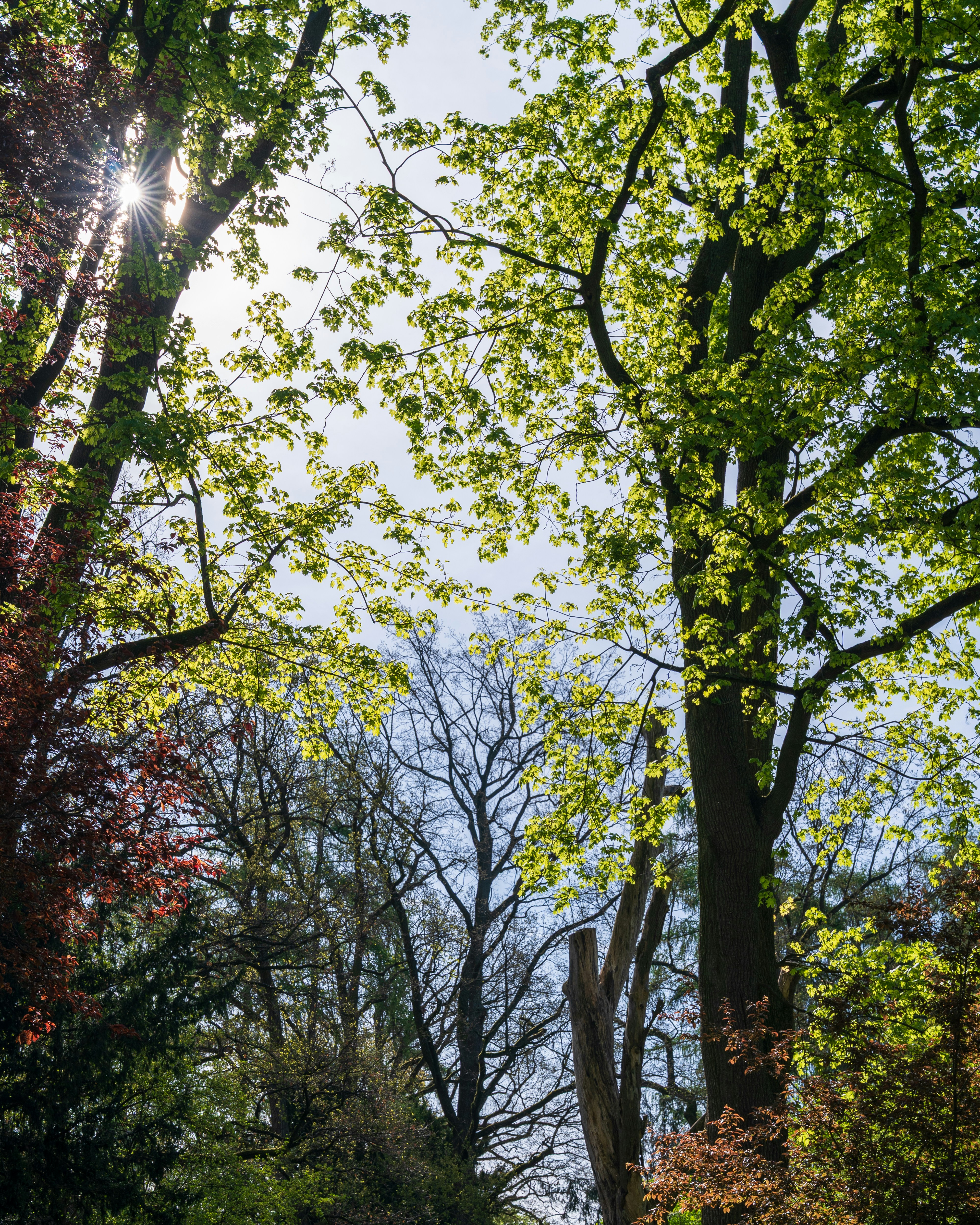 Photo by bangscreative