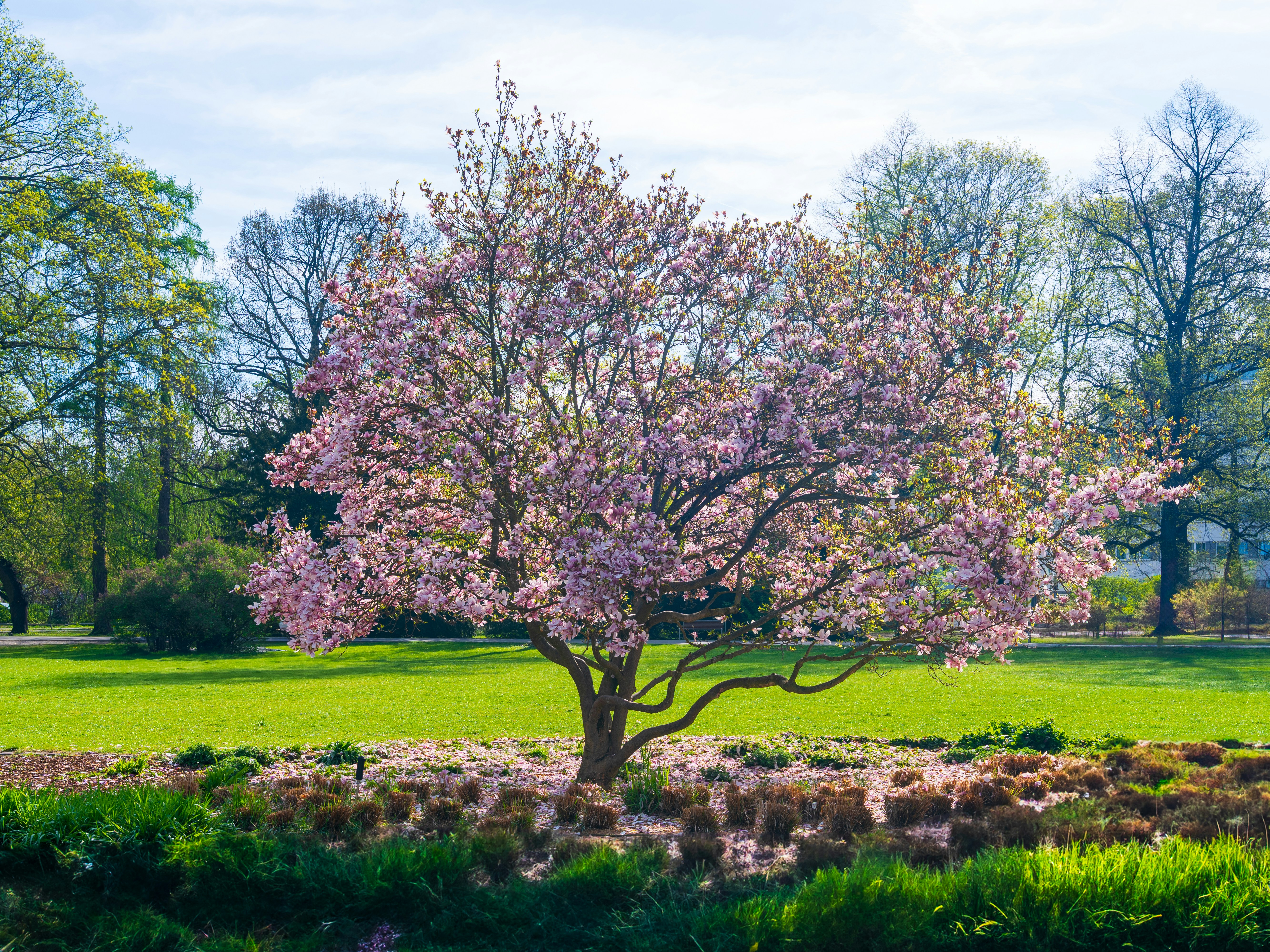 Photo by bangscreative