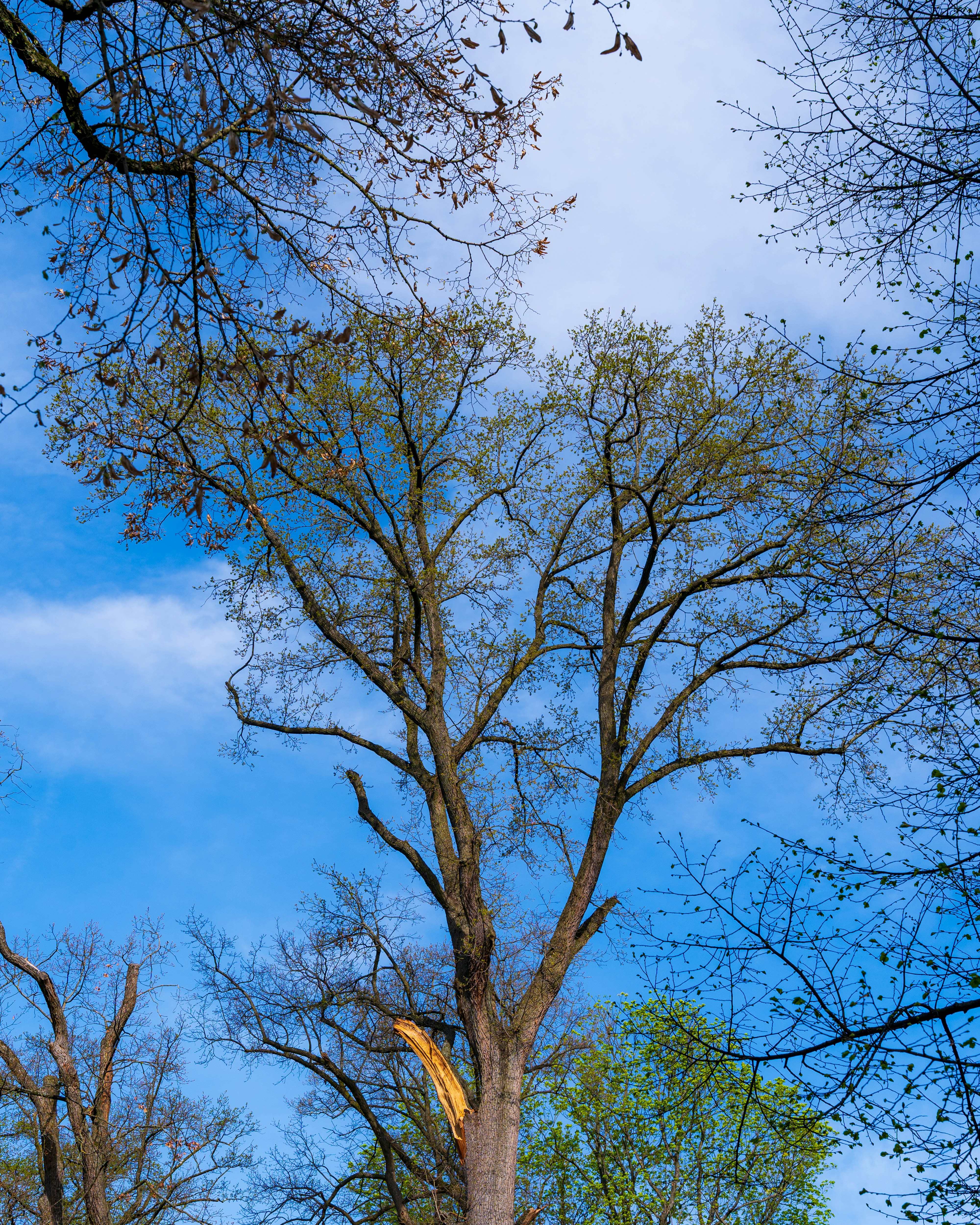 Photo by bangscreative