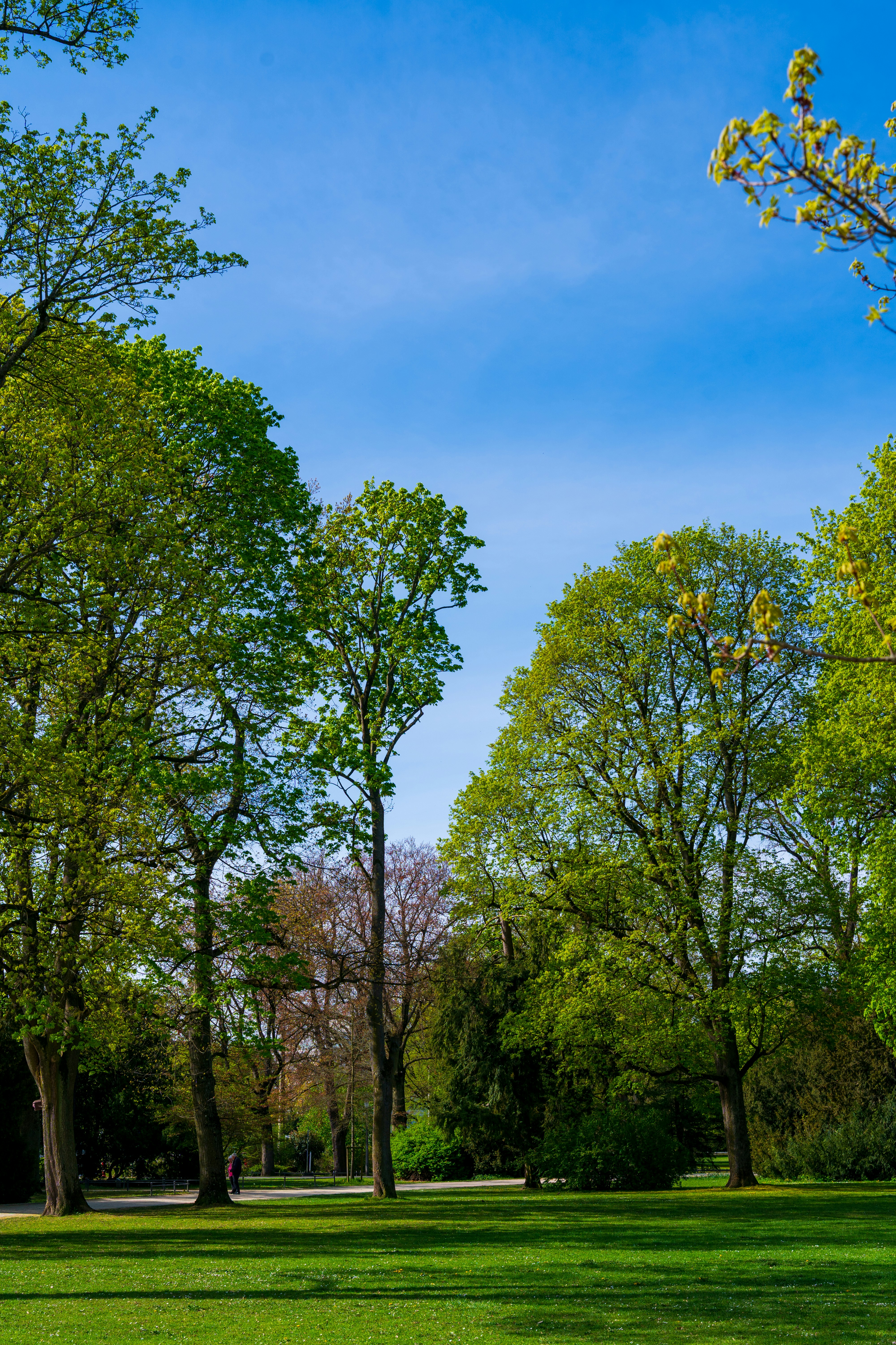 Photo by bangscreative