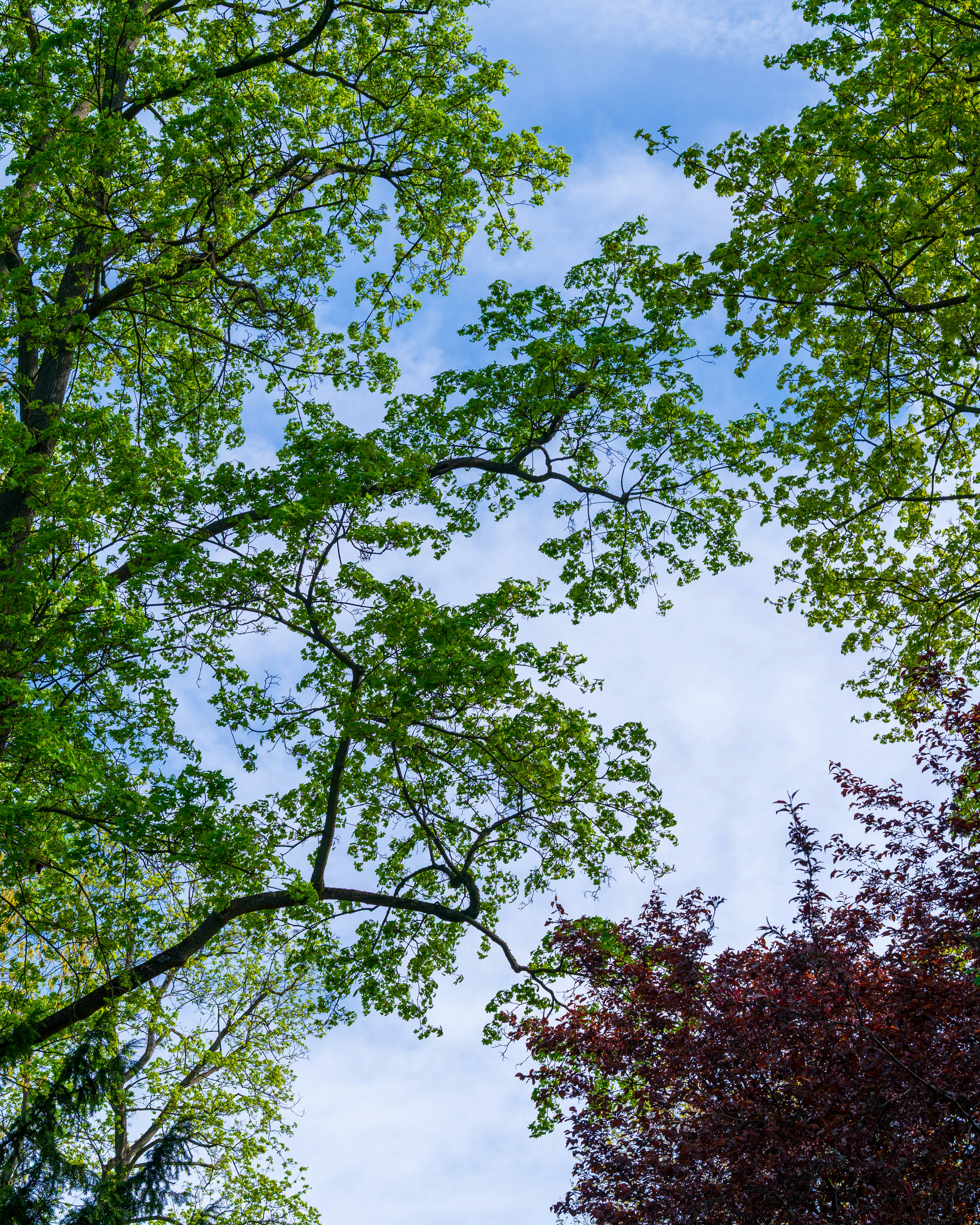 Photo by bangscreative