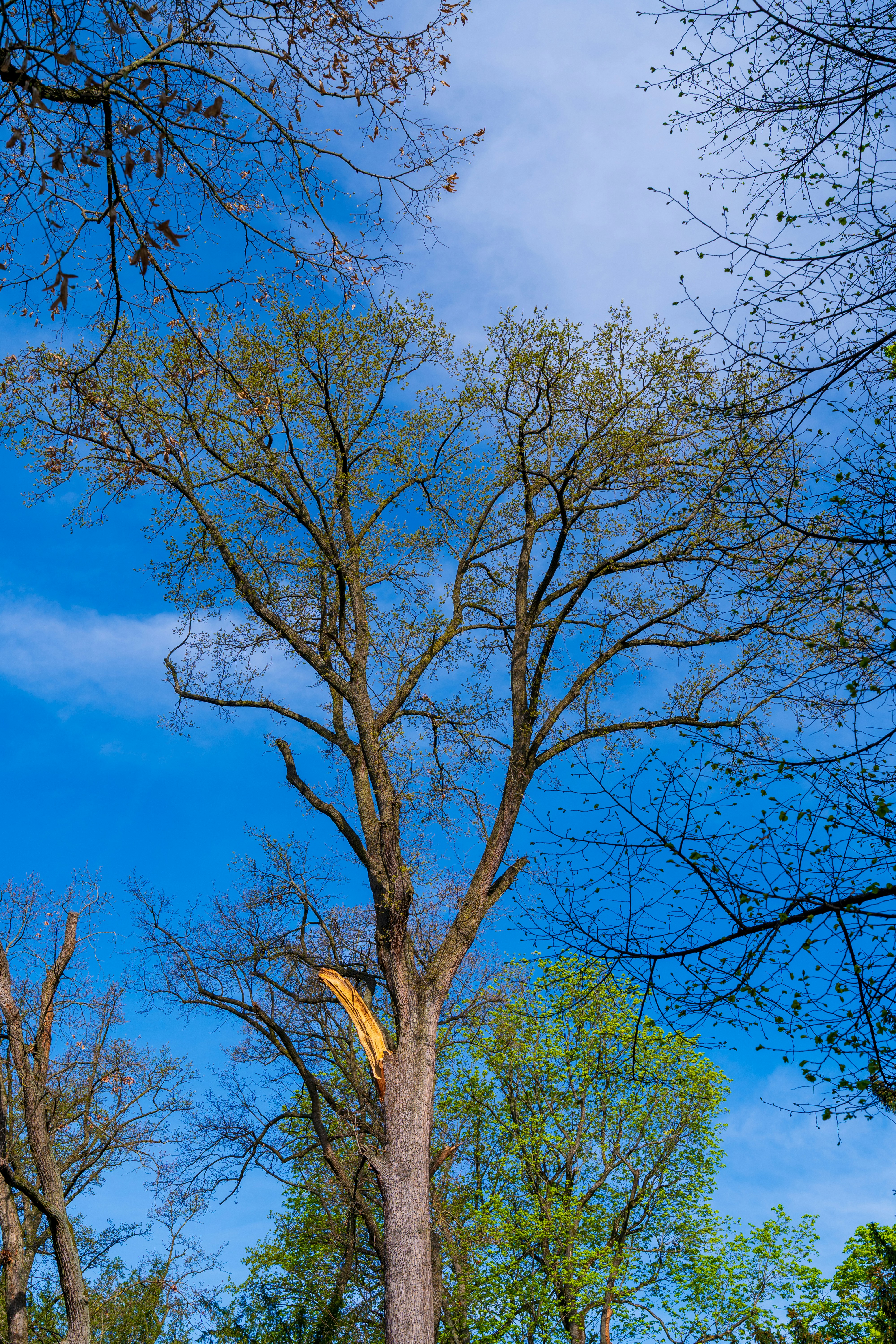 Photo by bangscreative