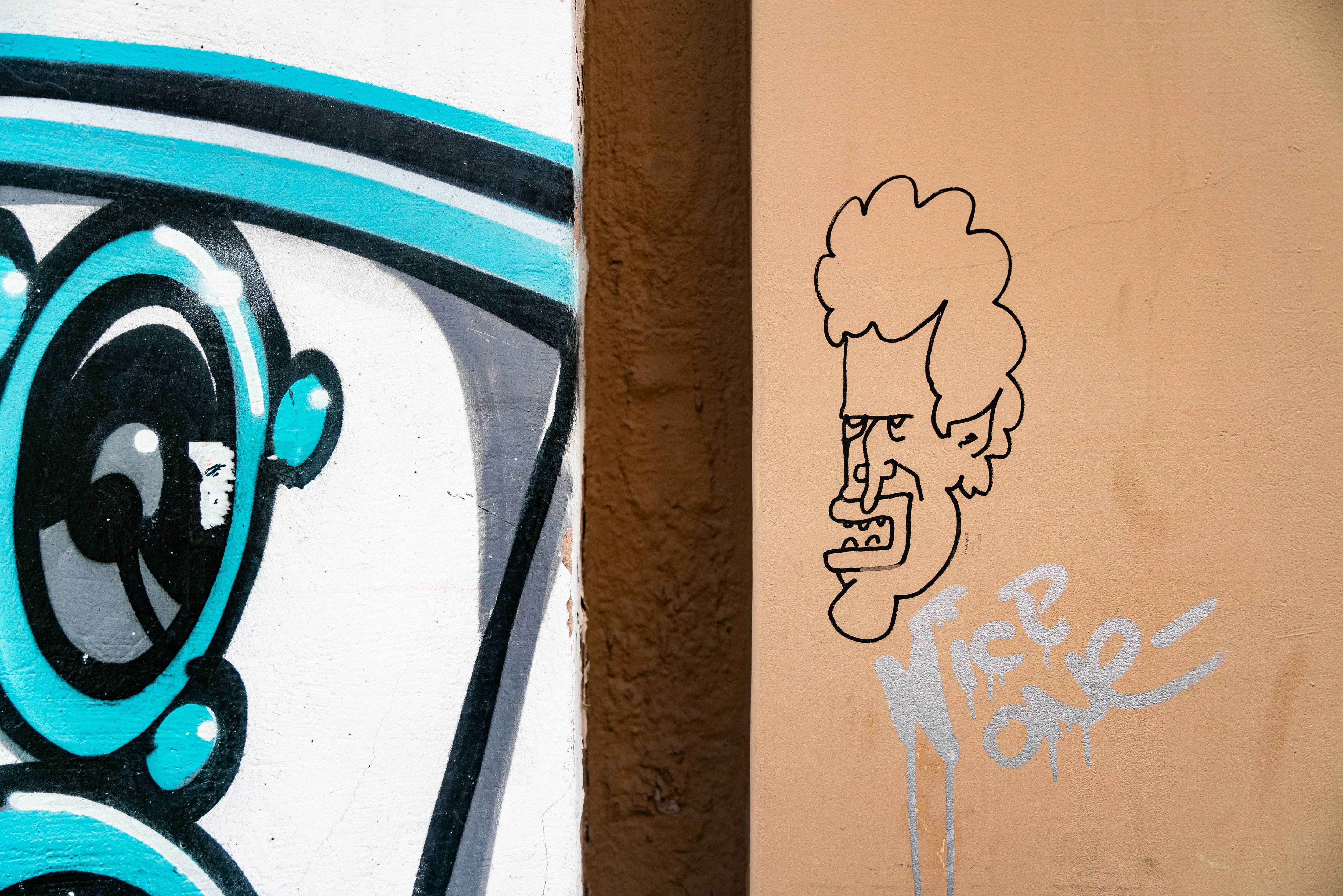 グラフィティアートは壁に顔を描いています。