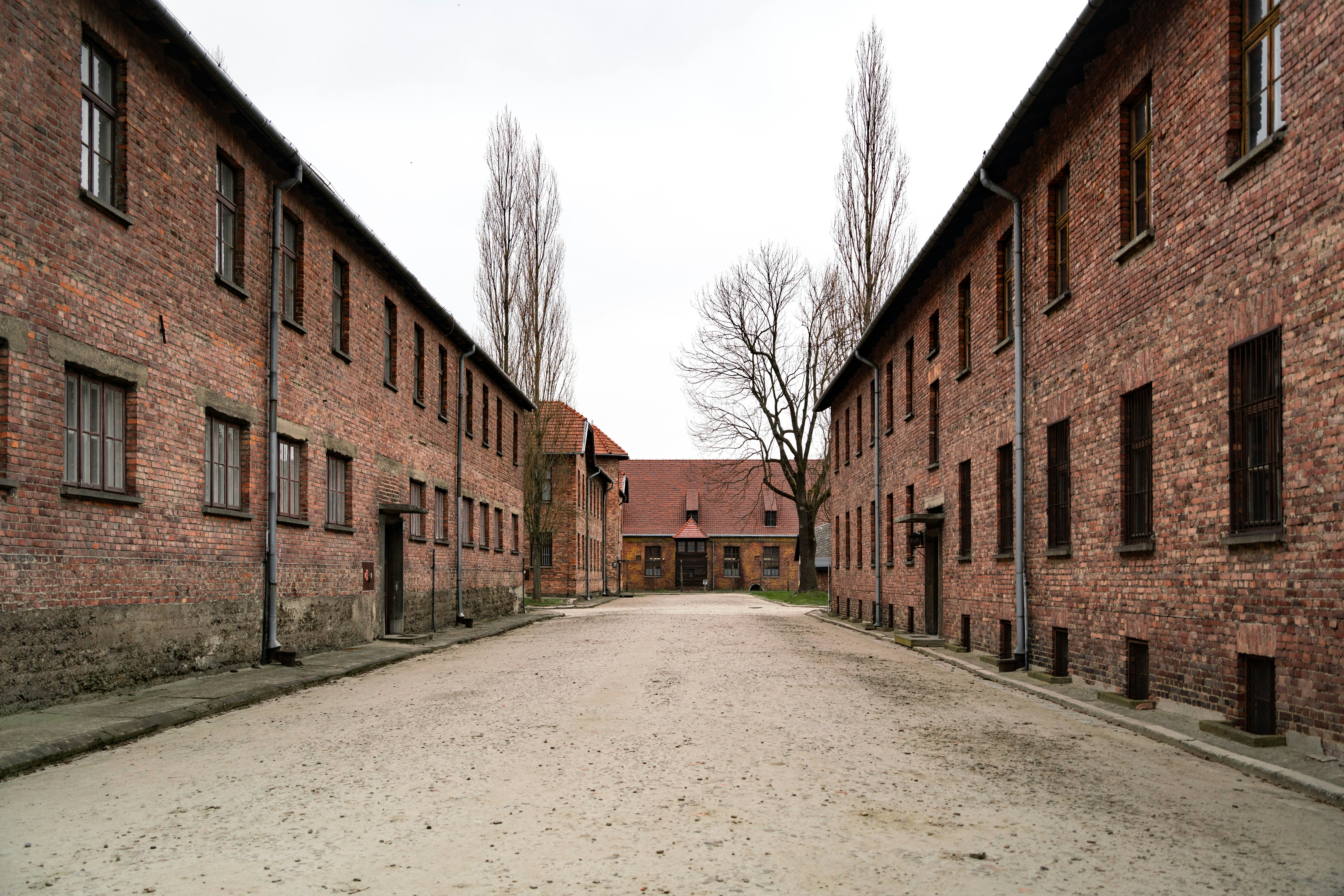 Photo by michaelfousert