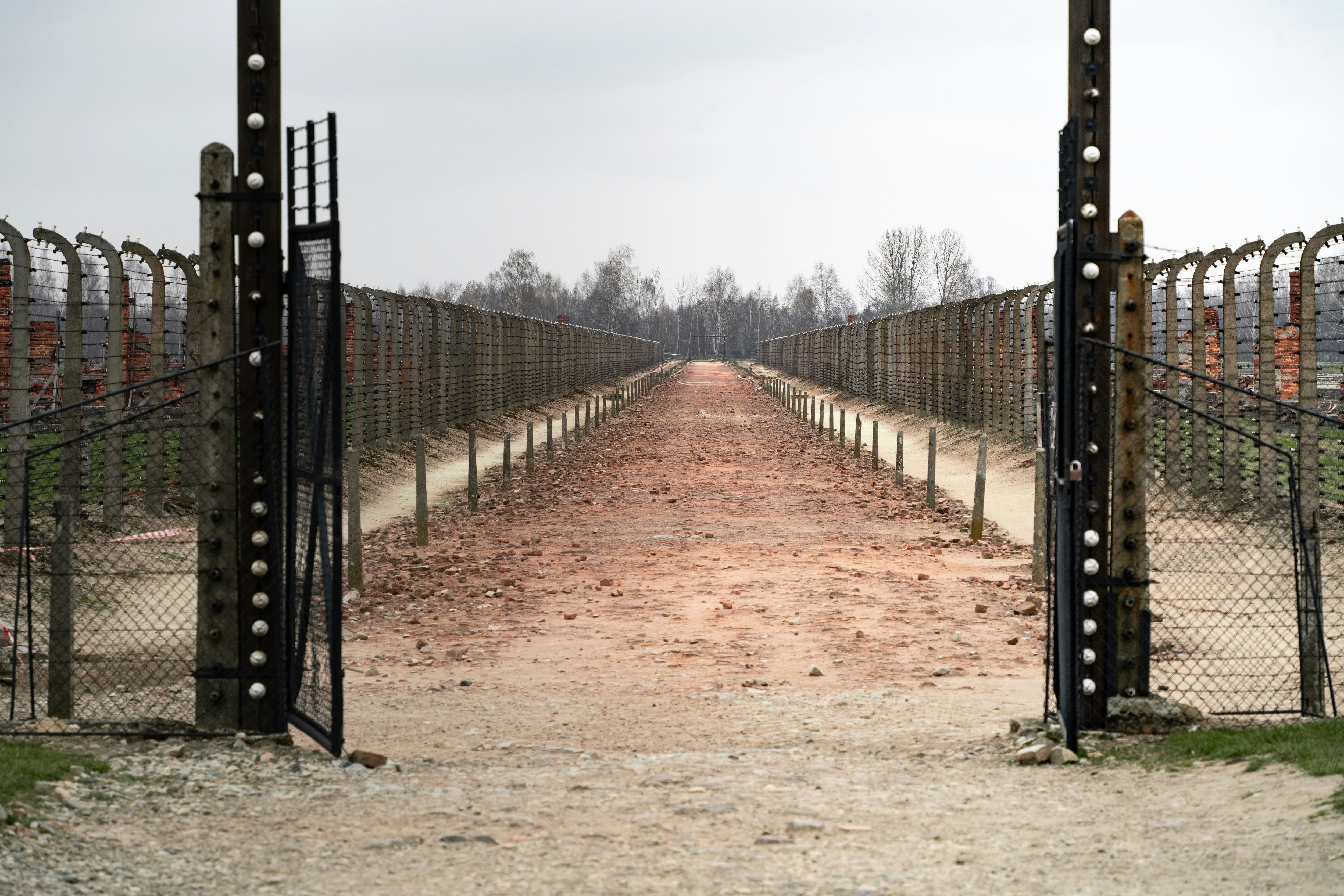 Photo by michaelfousert