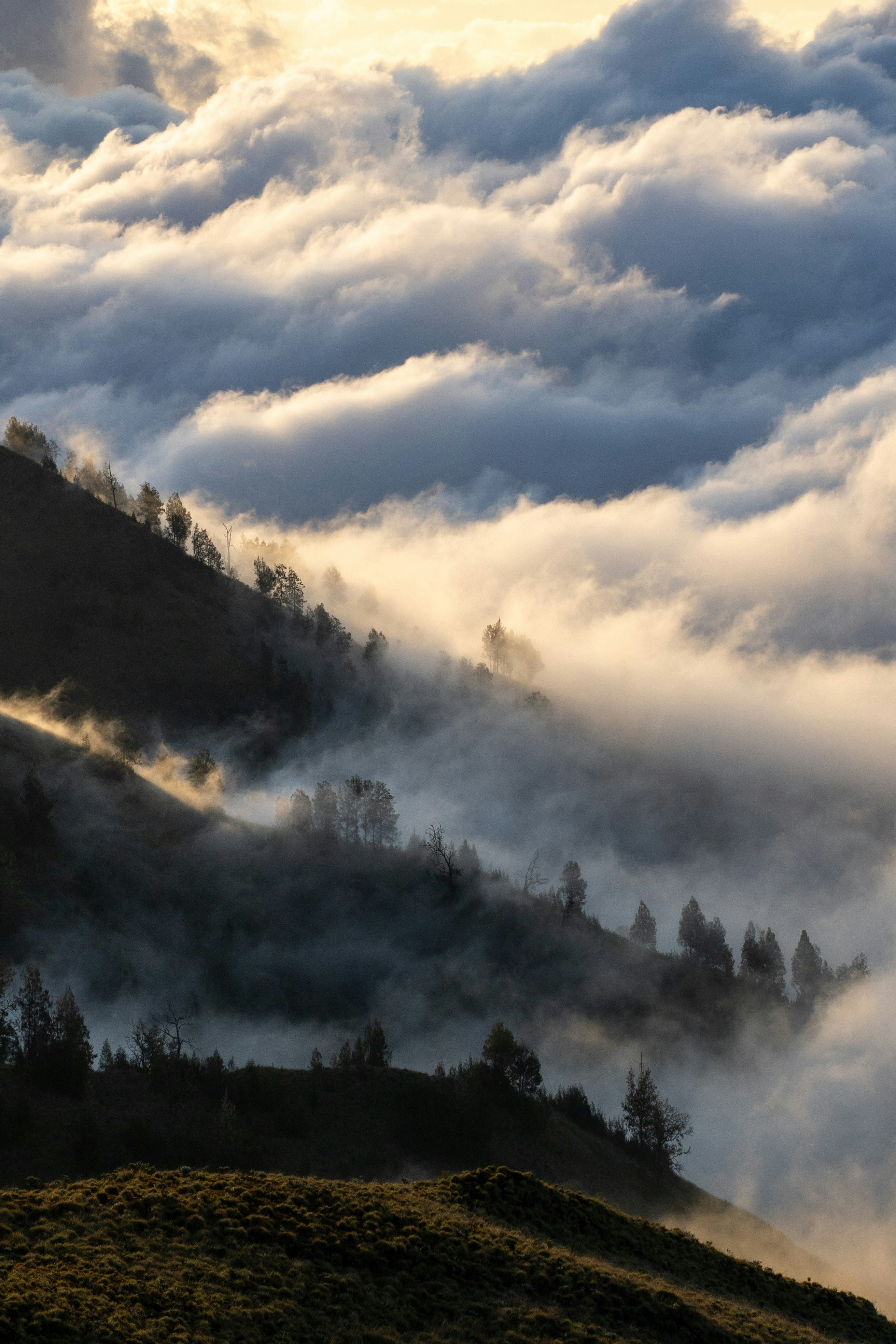 Photo by sandertraa