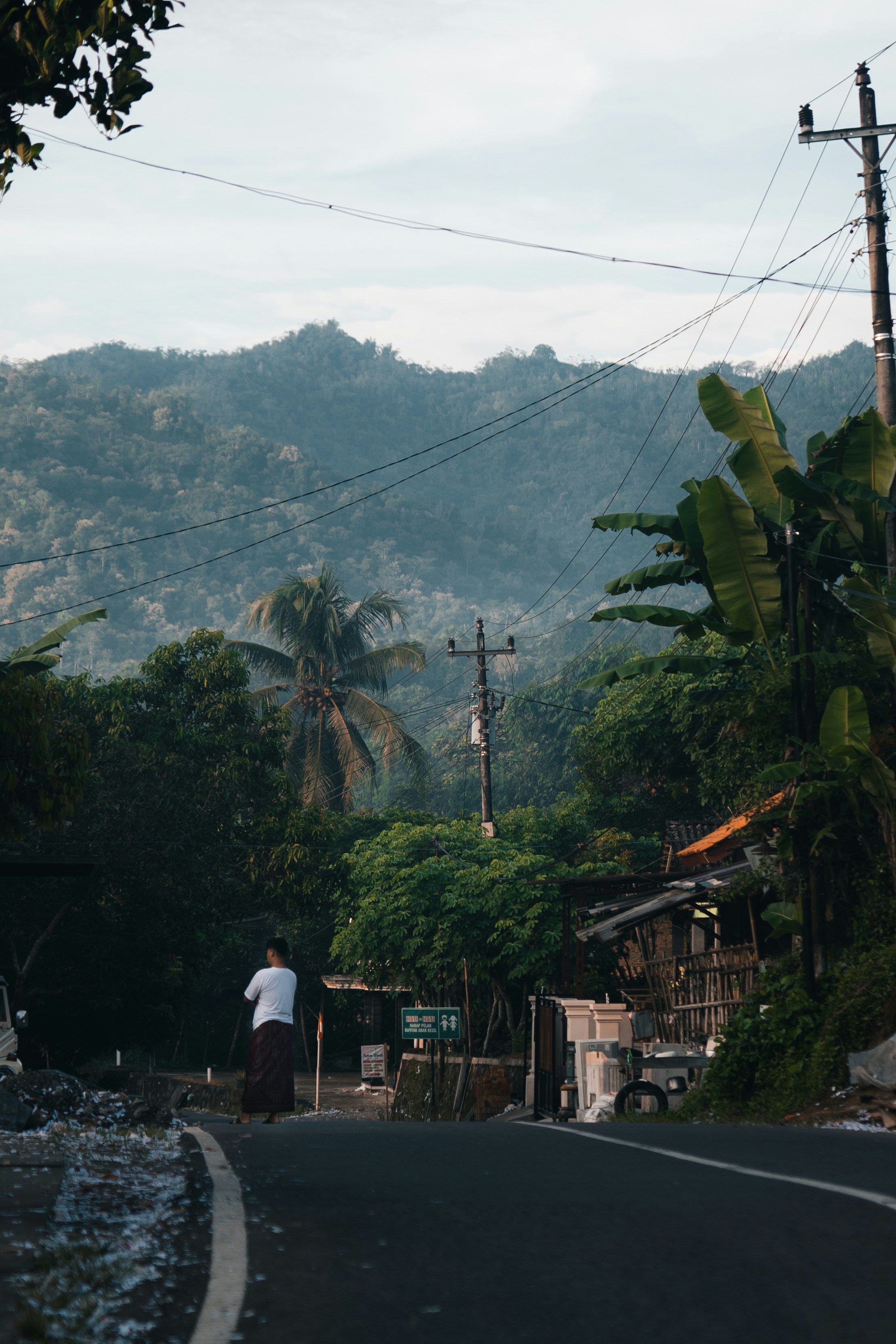 Ancient Temples and Royal Palaces