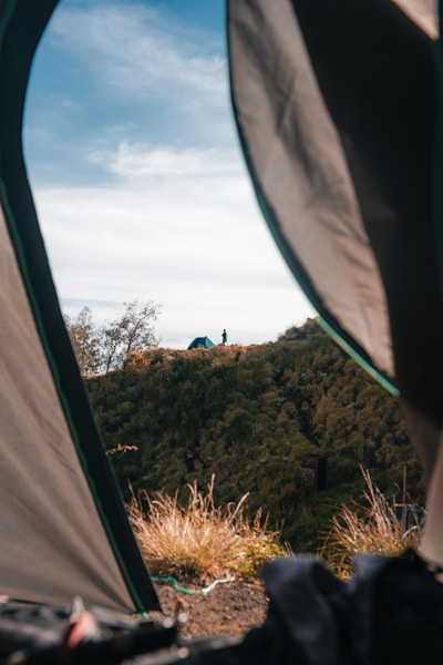 View from a tent, overlooking the outdoors.