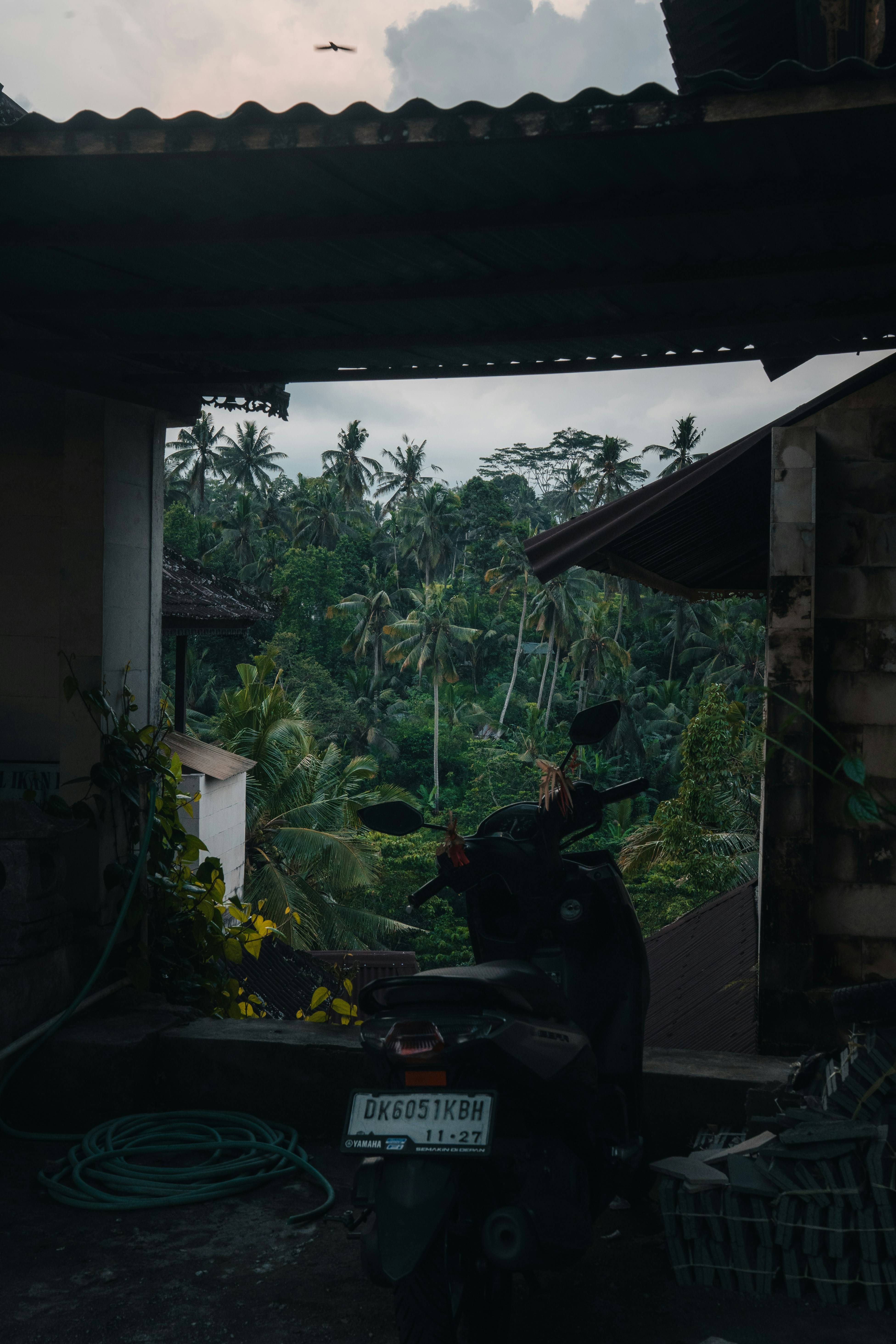 A motorbike overlooks a lush, green landscape.