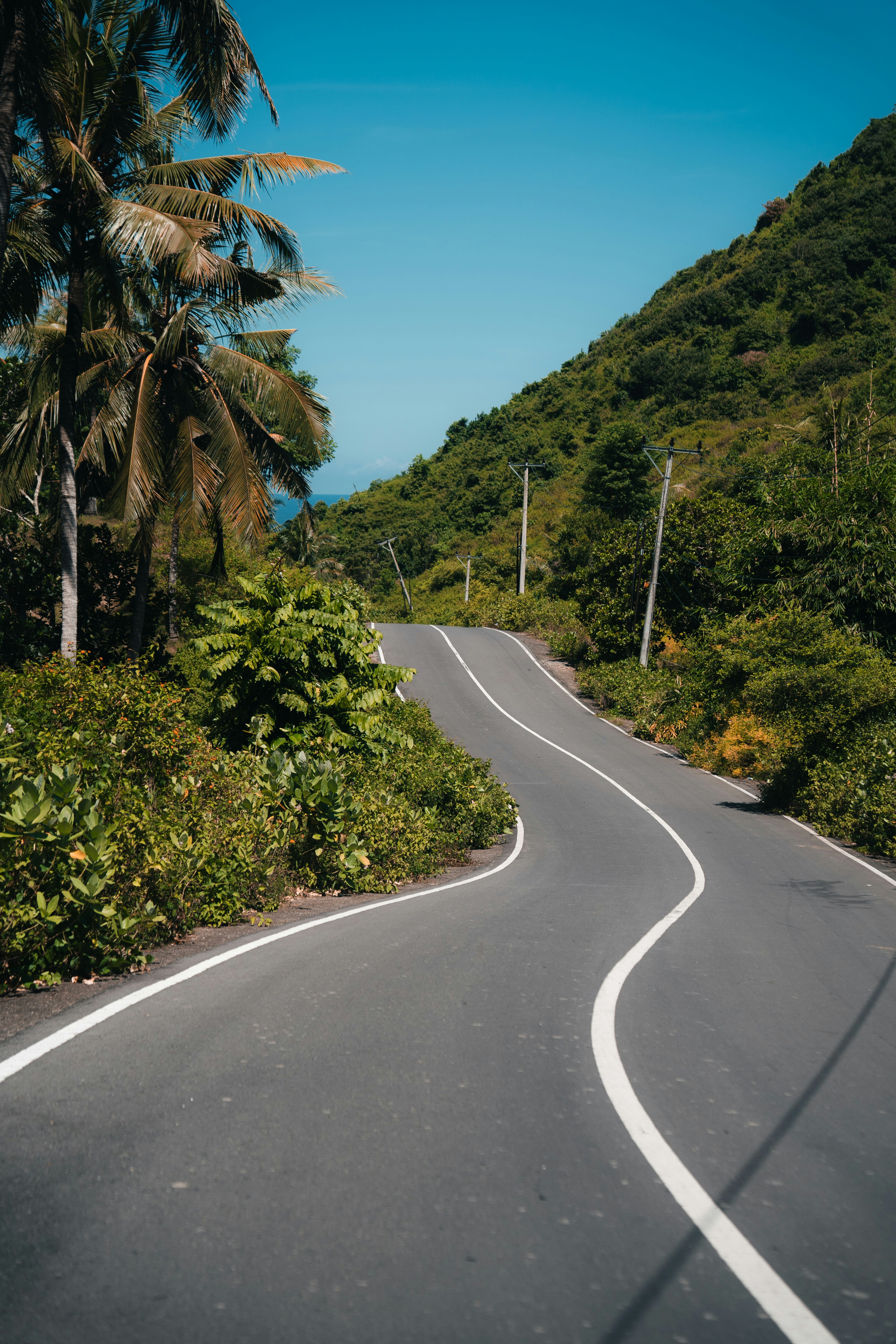 Winding road through lush, green tropical landscape.
