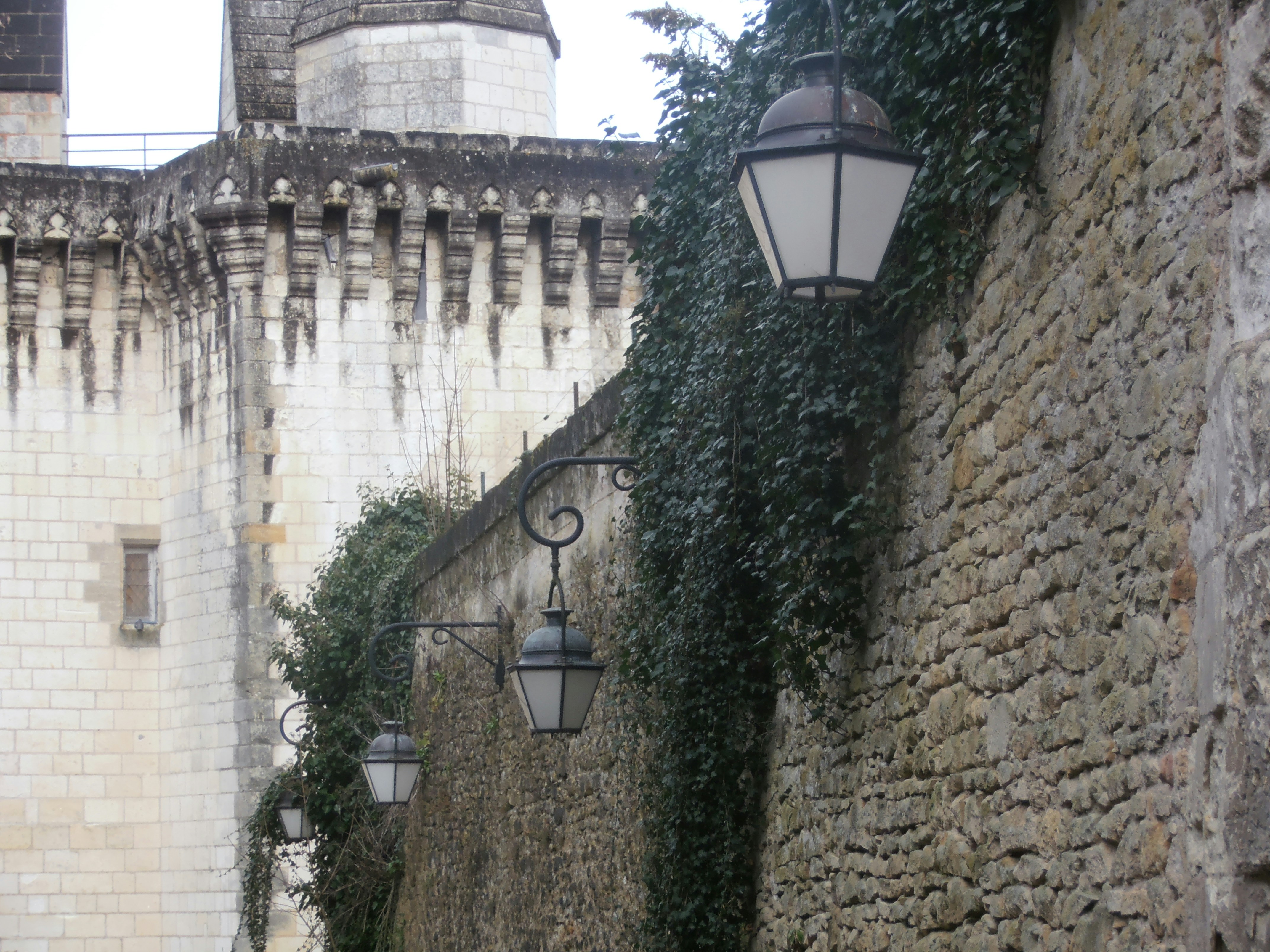 Photo by tiagos_pictures