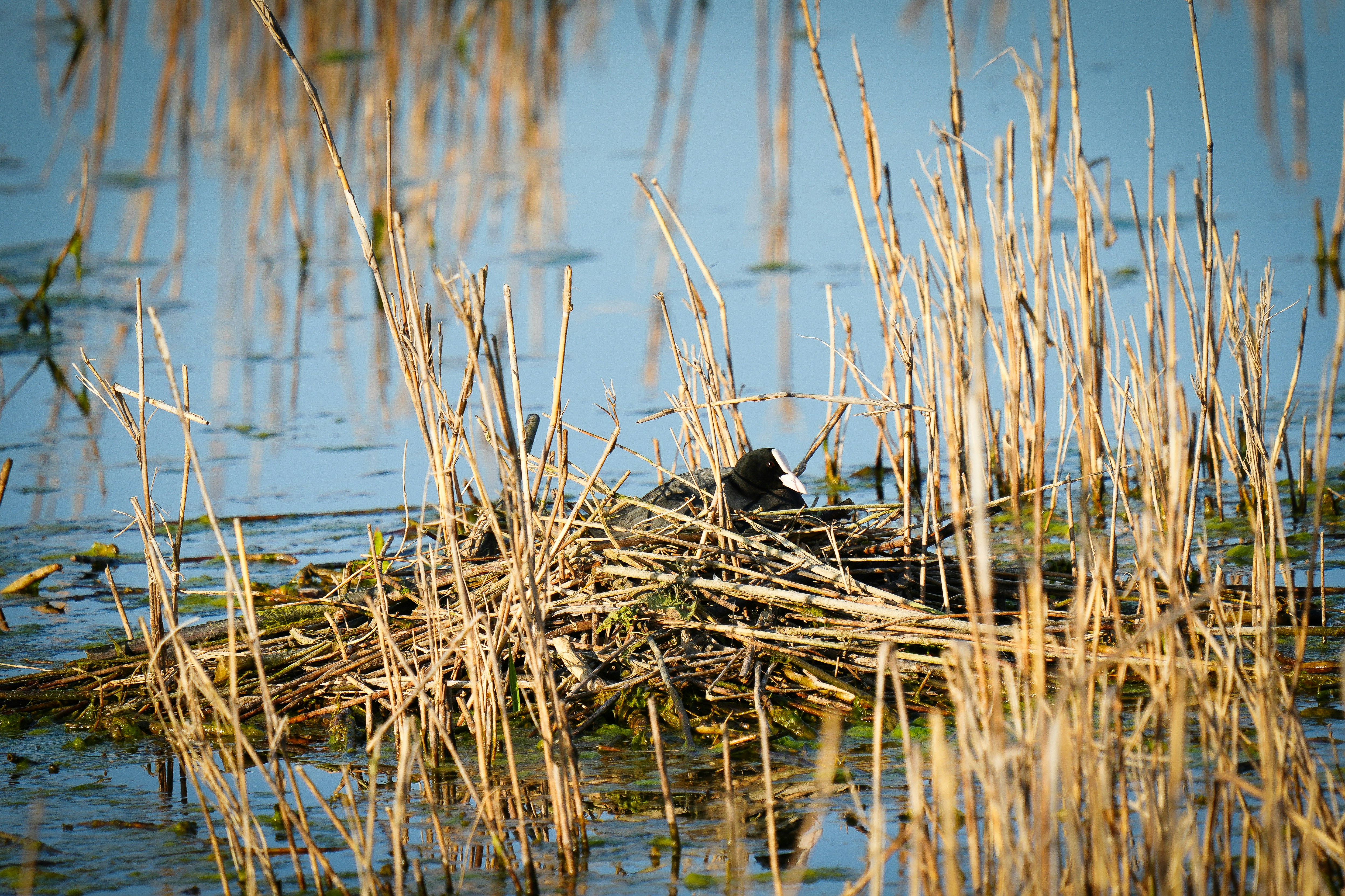 Muloorina, South Australia