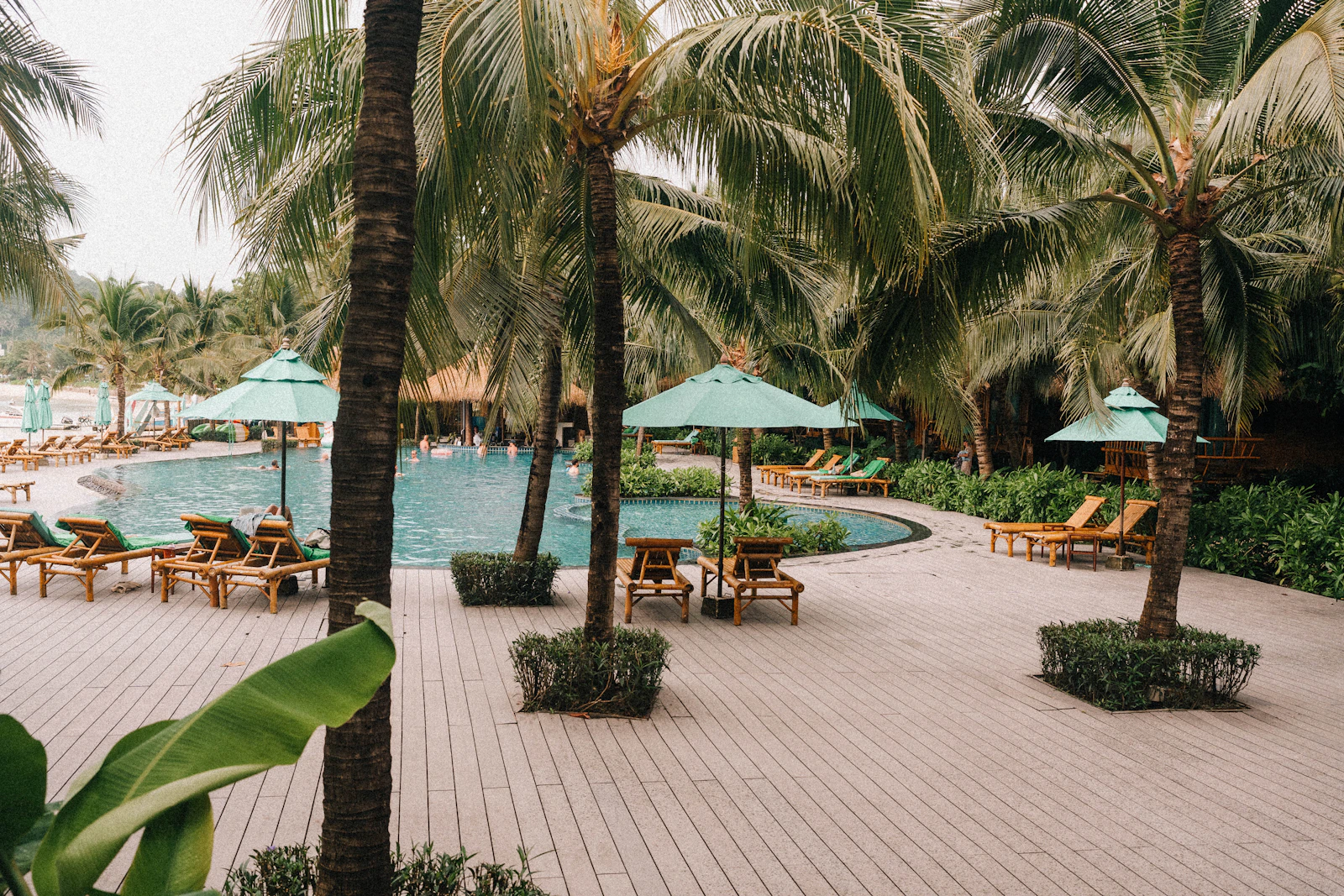 Palm trees surrounding a tropical resort swimming pool in Thailand.