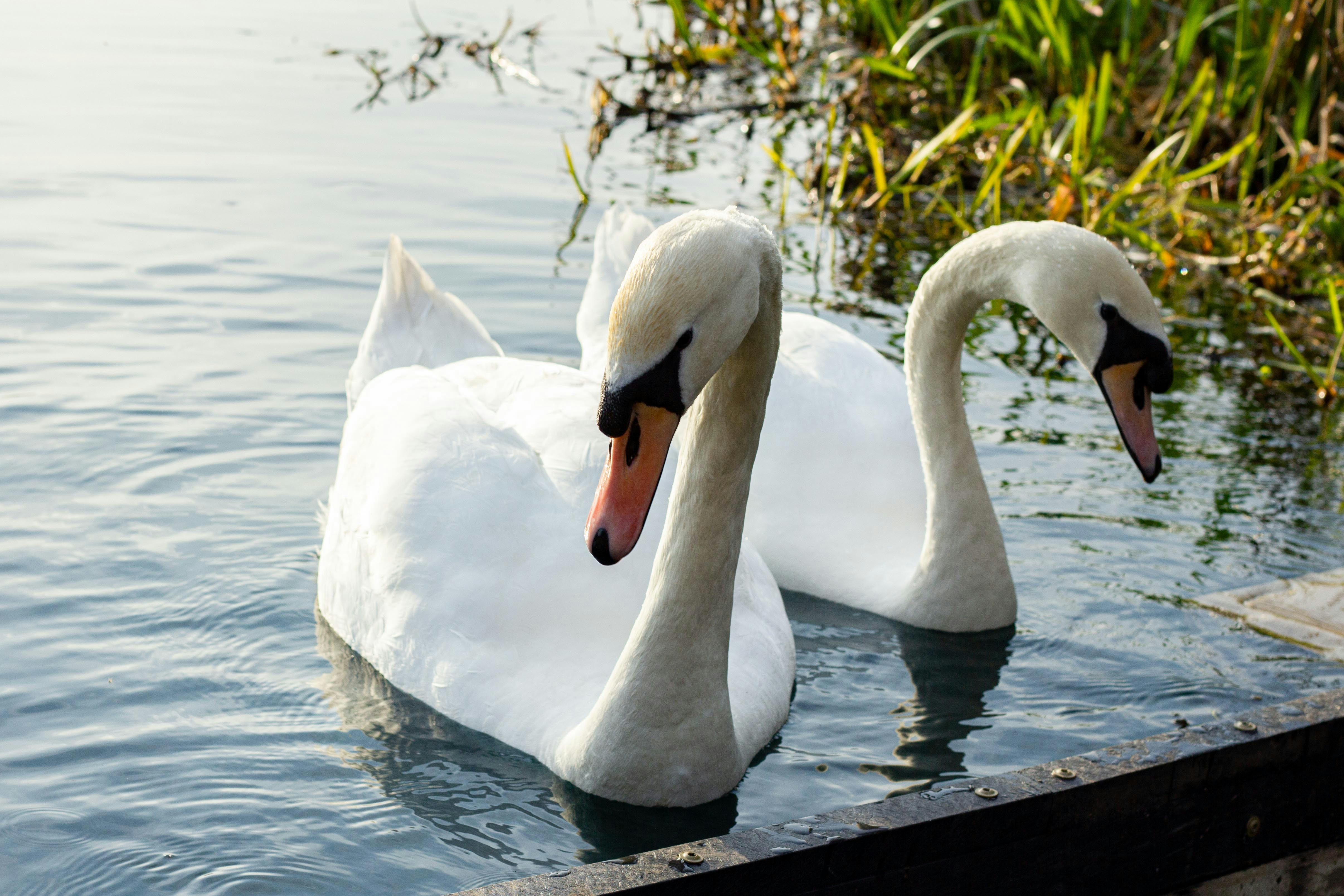 Photo by isaacwithers