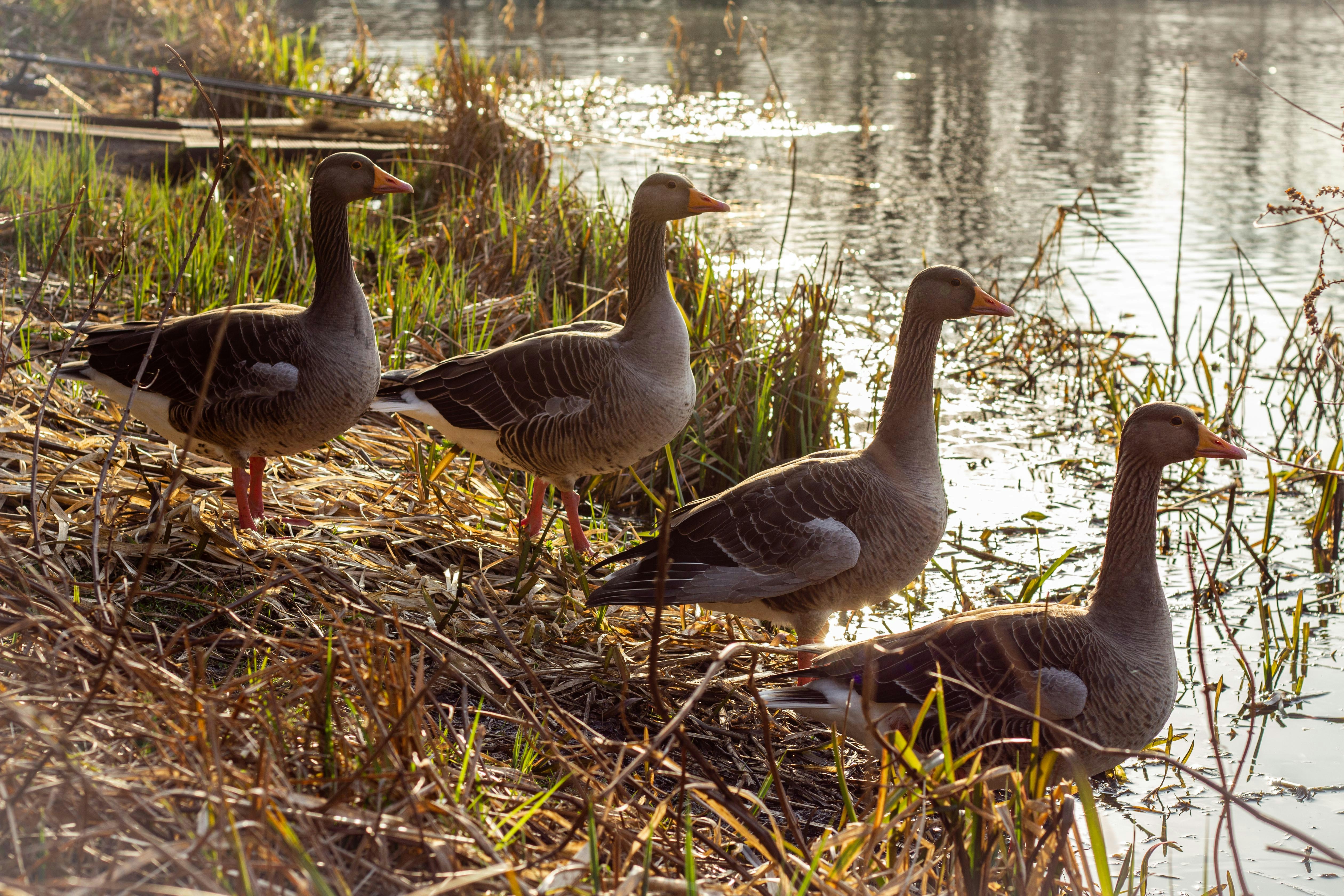 Photo by isaacwithers