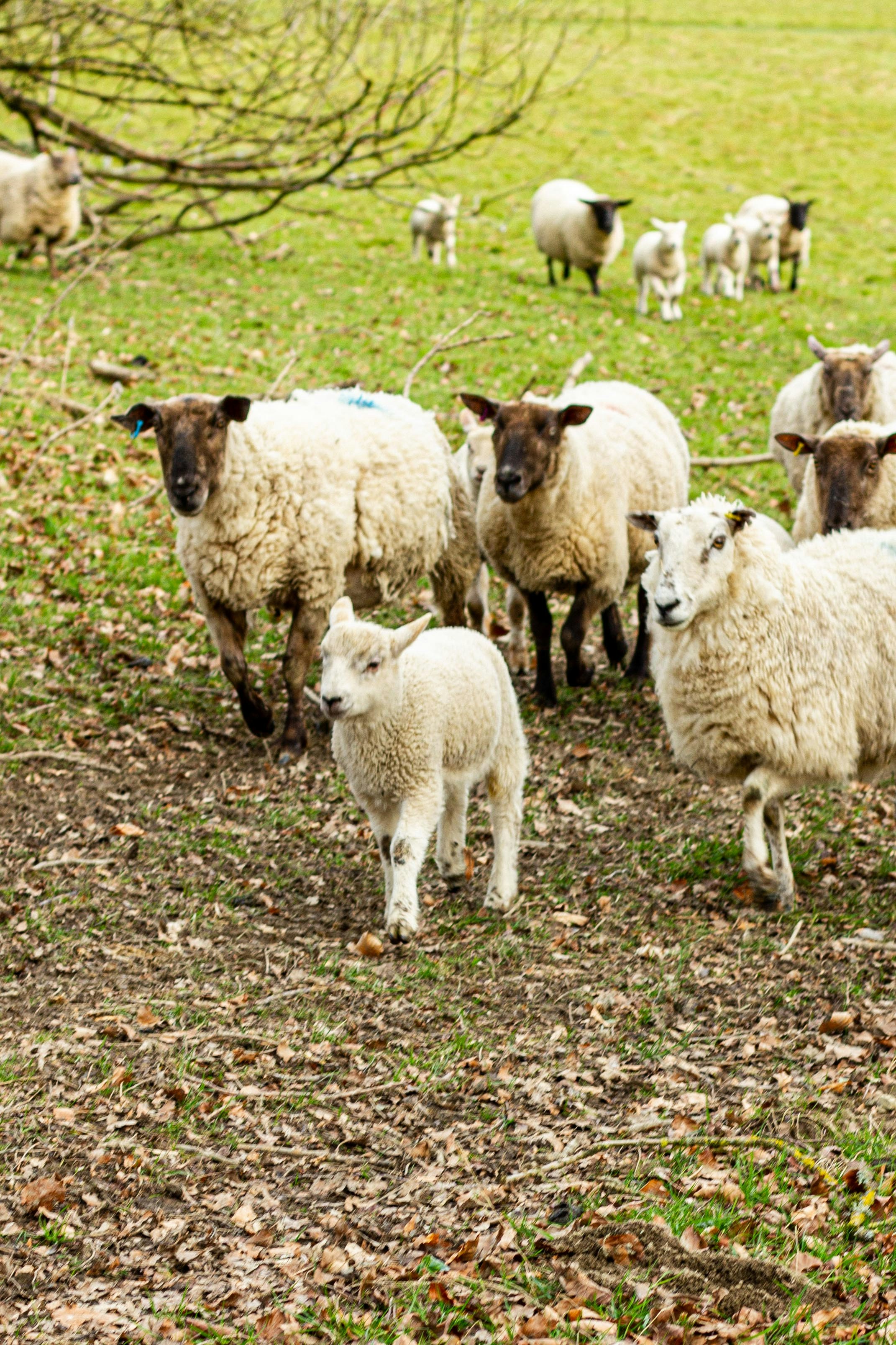 Photo by isaacwithers