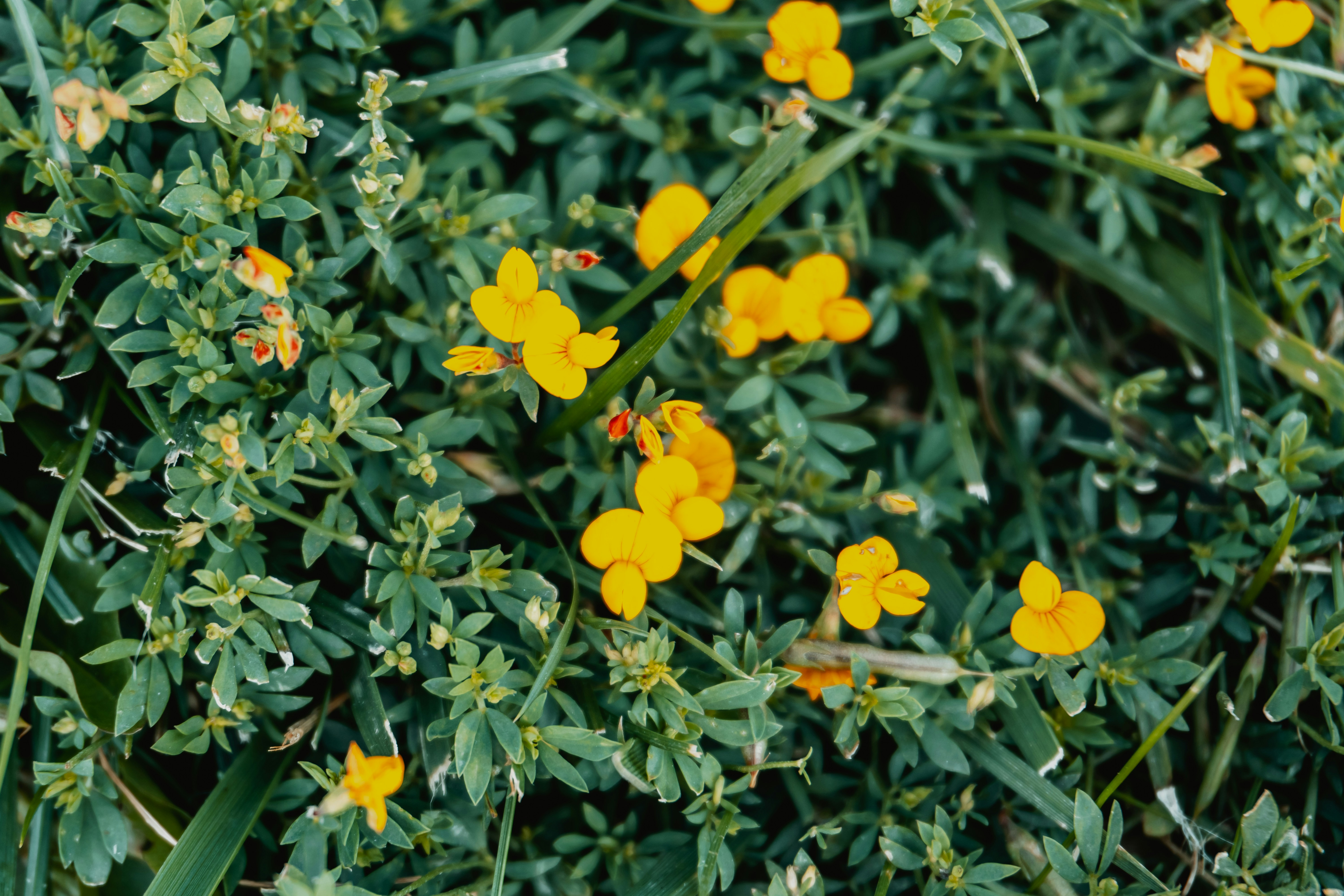 Photo by zulfugarkarimov