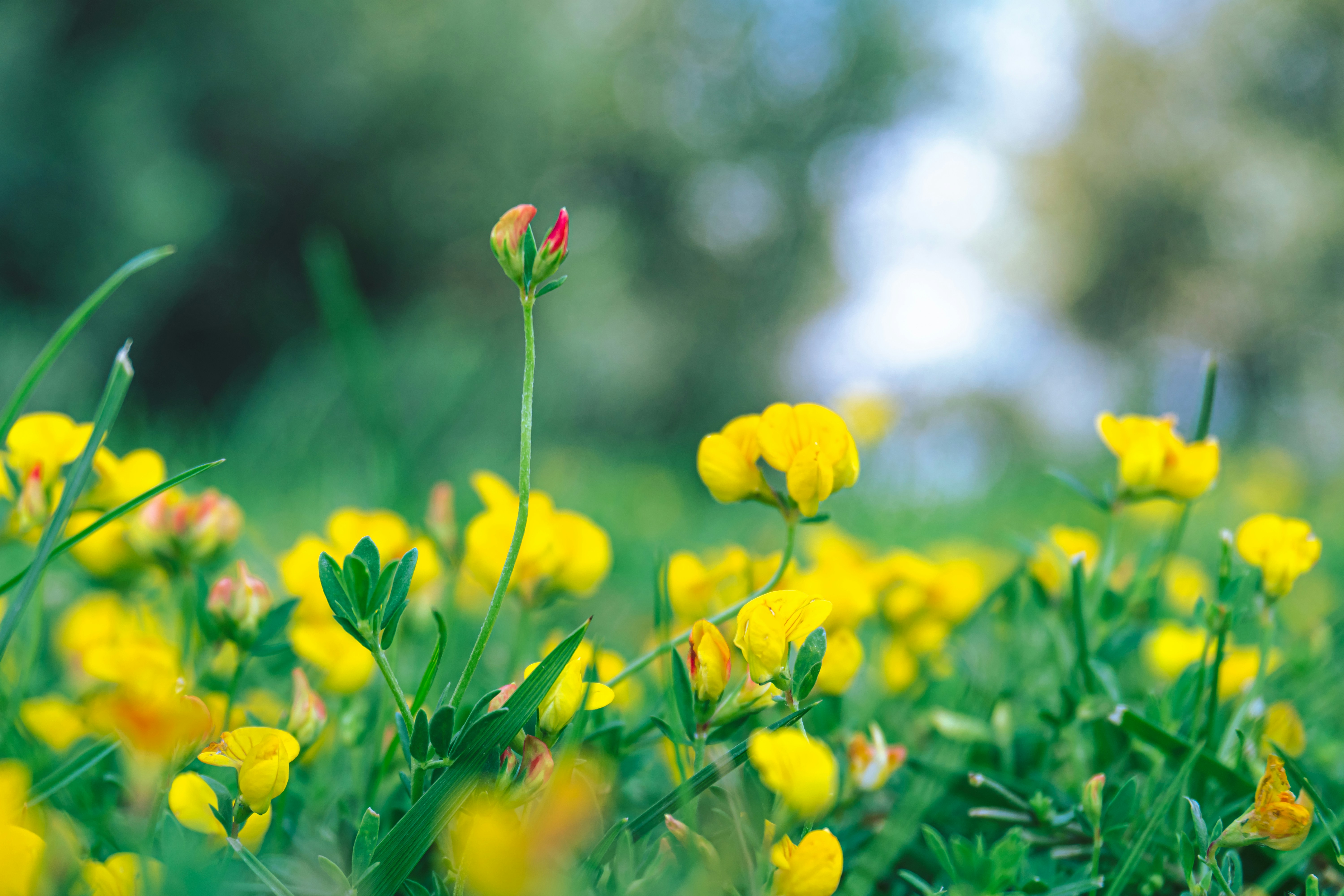 Photo by zulfugarkarimov