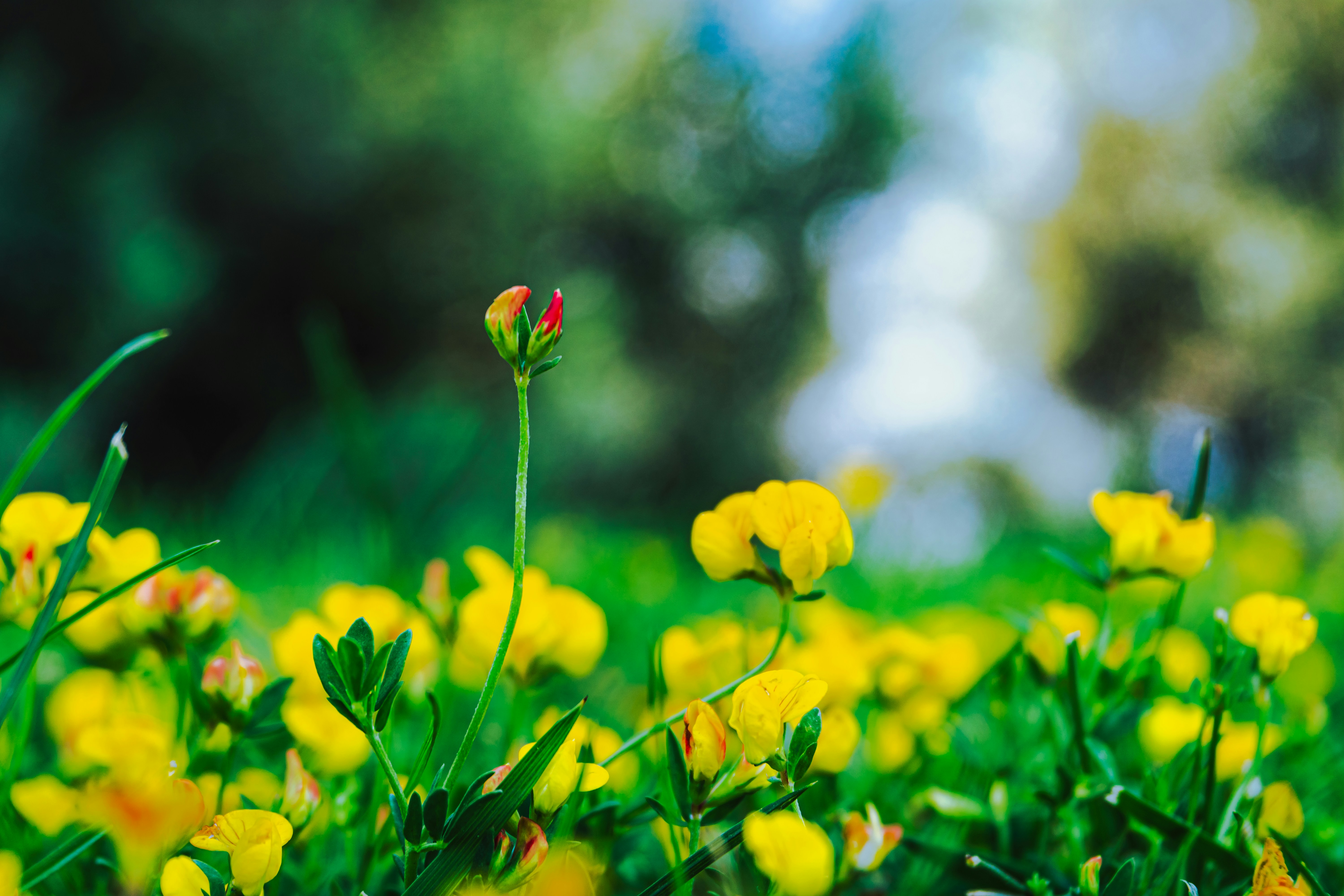 Photo by zulfugarkarimov