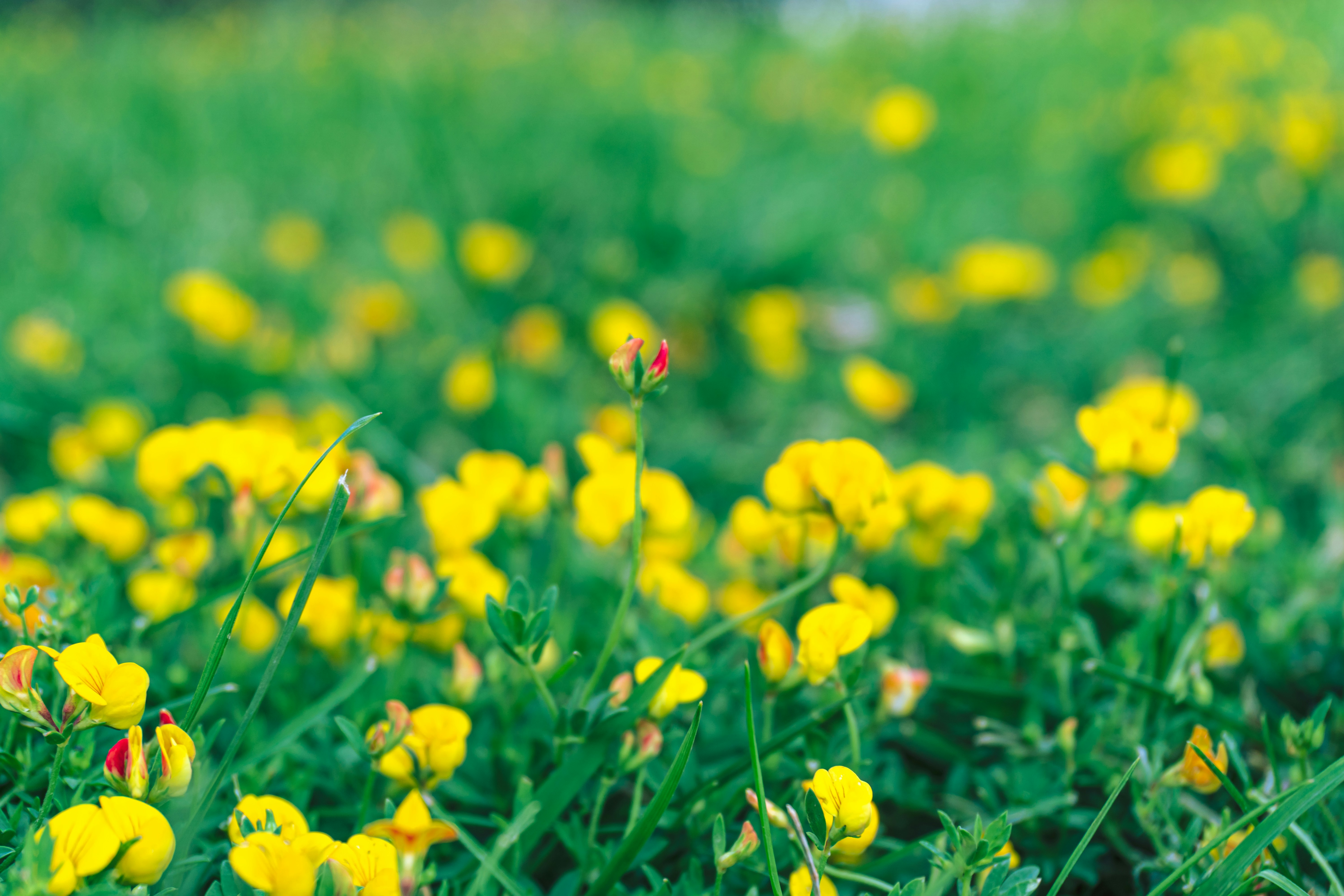 Photo by zulfugarkarimov