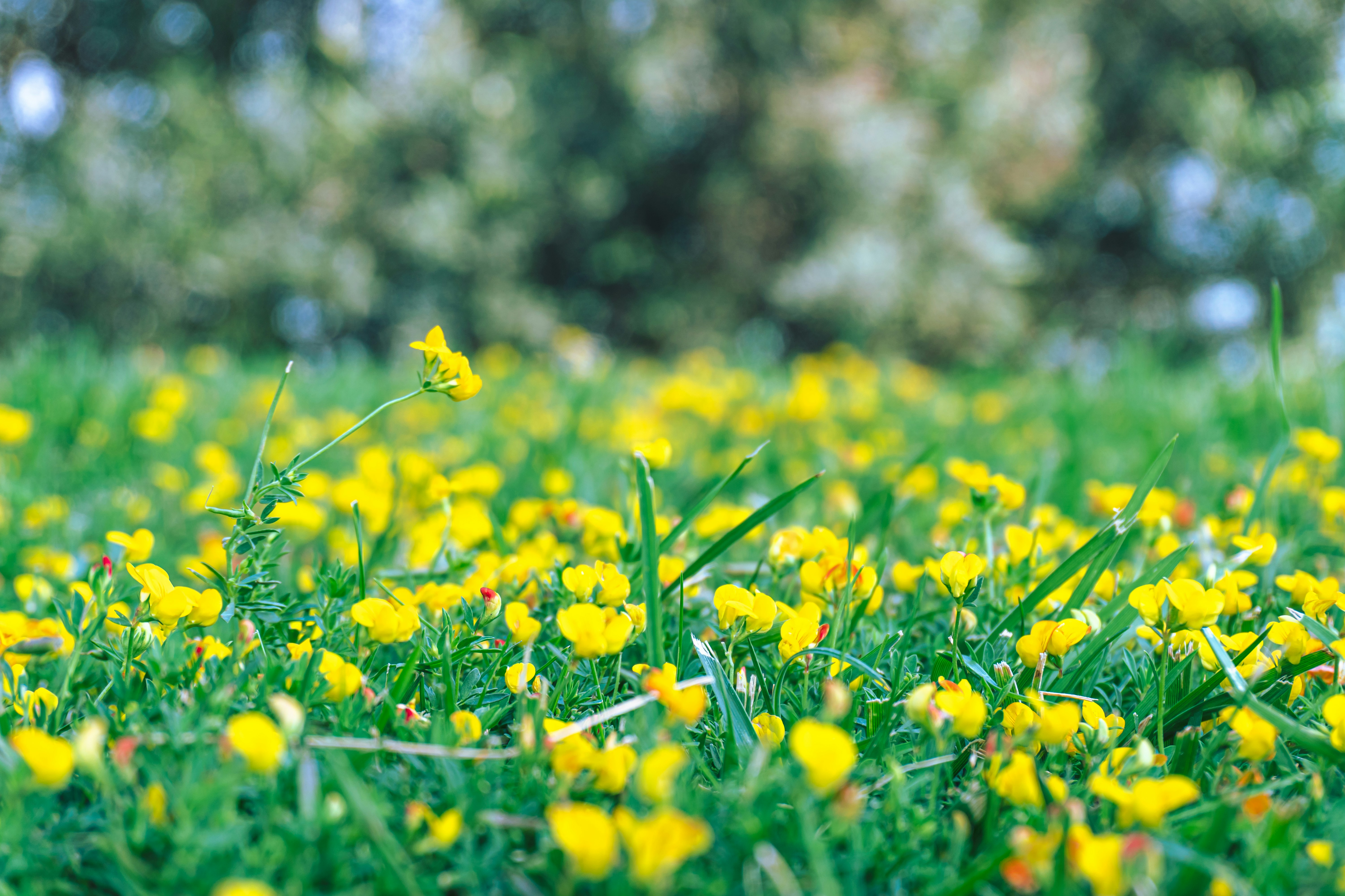 Photo by zulfugarkarimov