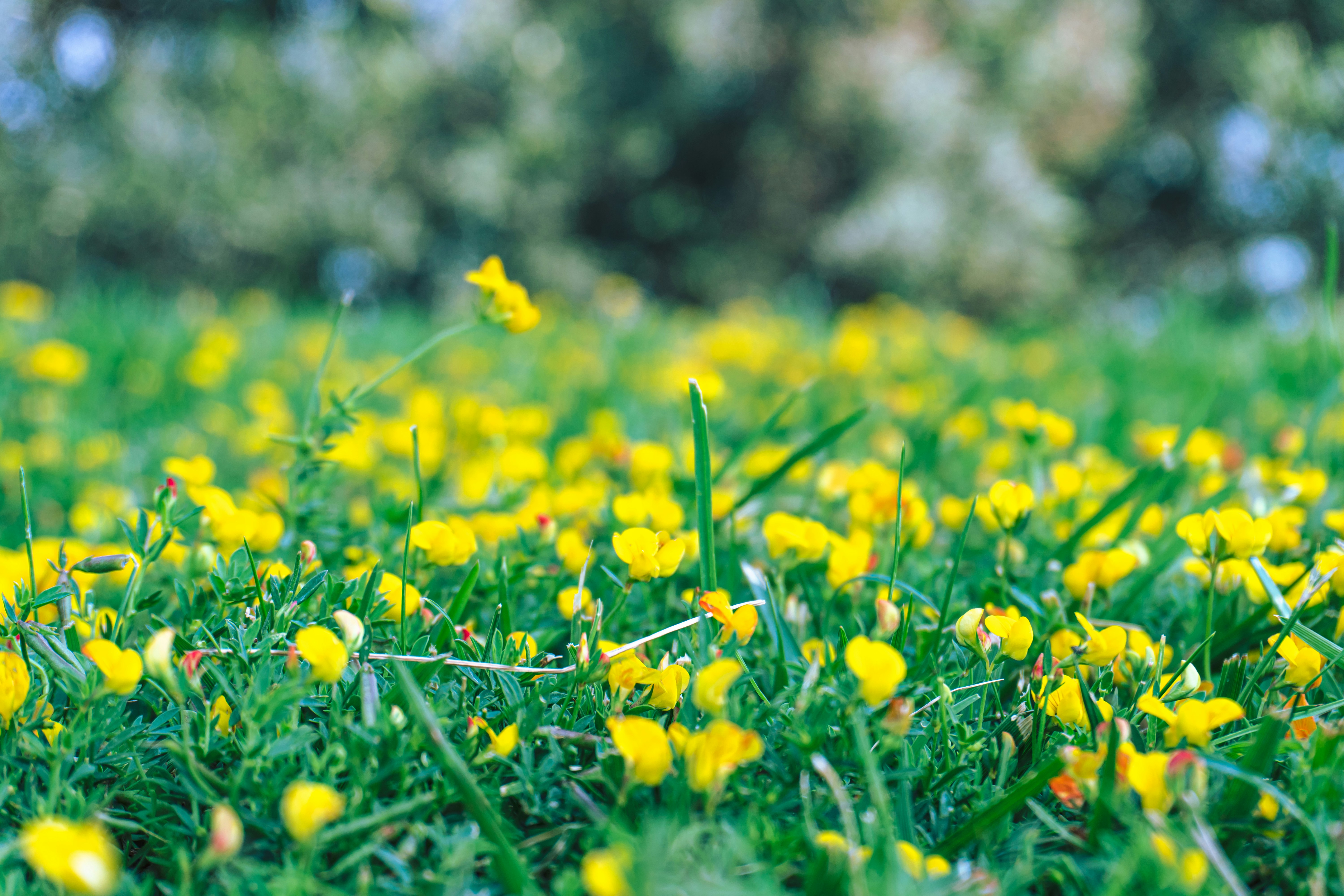 Photo by zulfugarkarimov