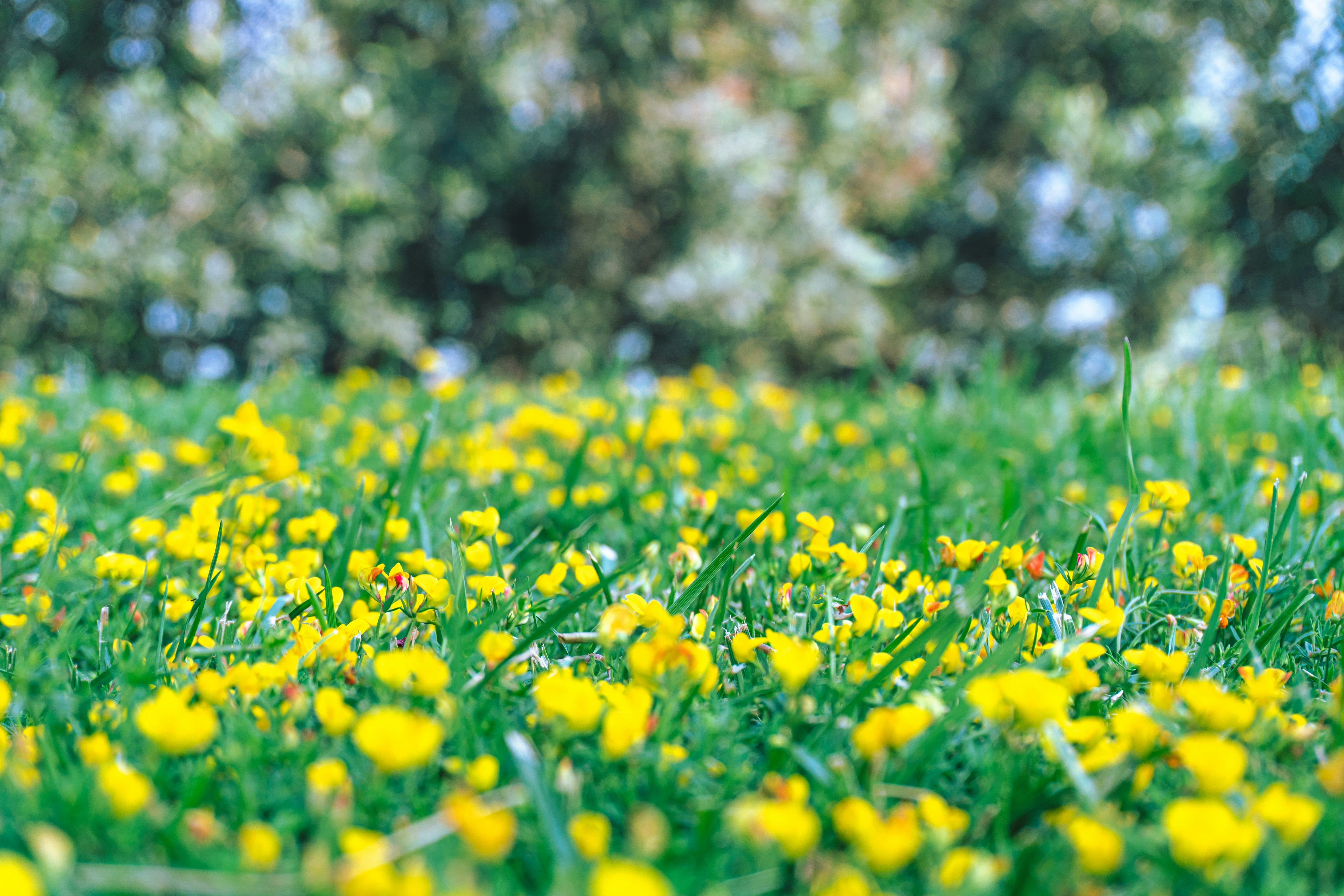 Photo by zulfugarkarimov