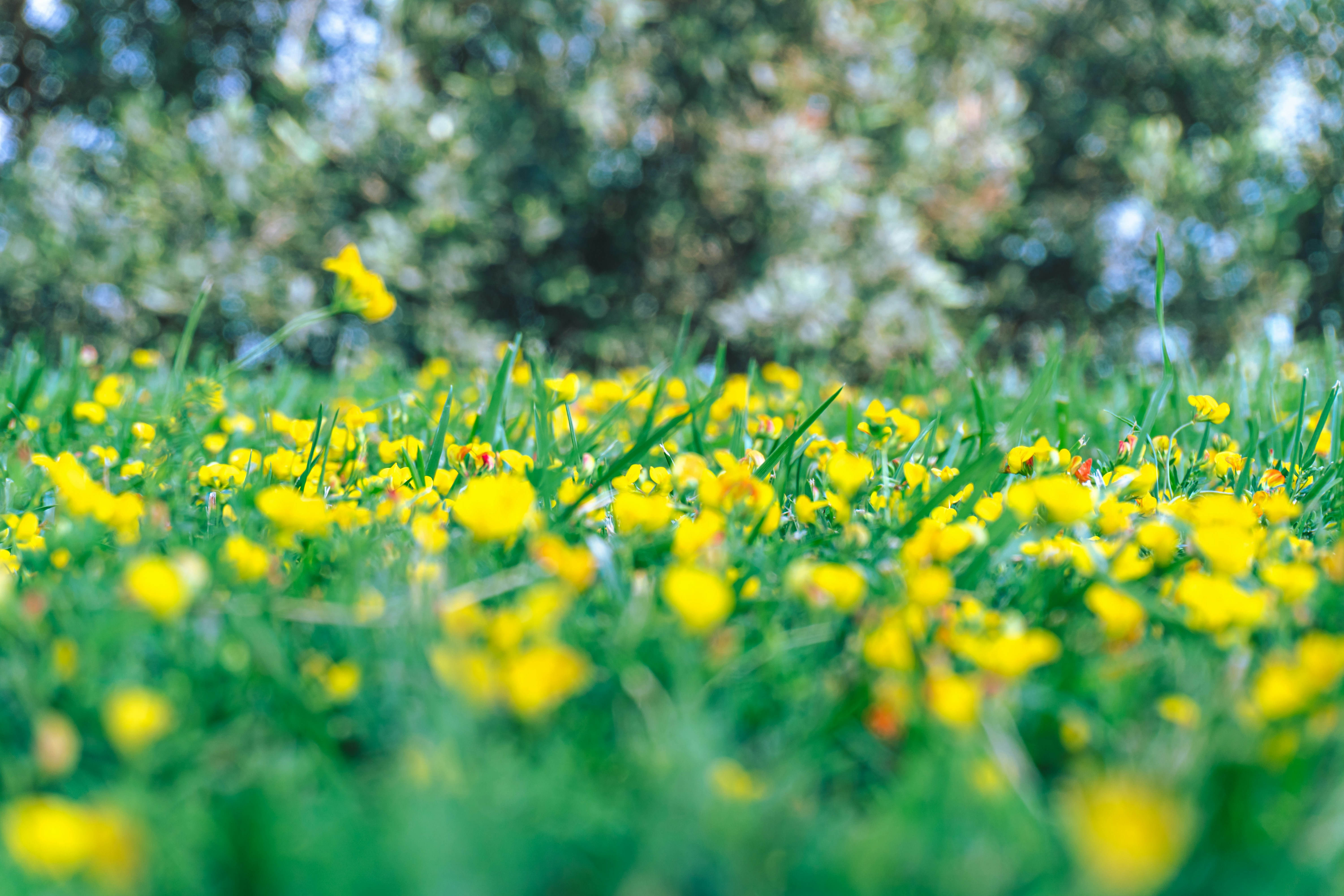 Photo by zulfugarkarimov