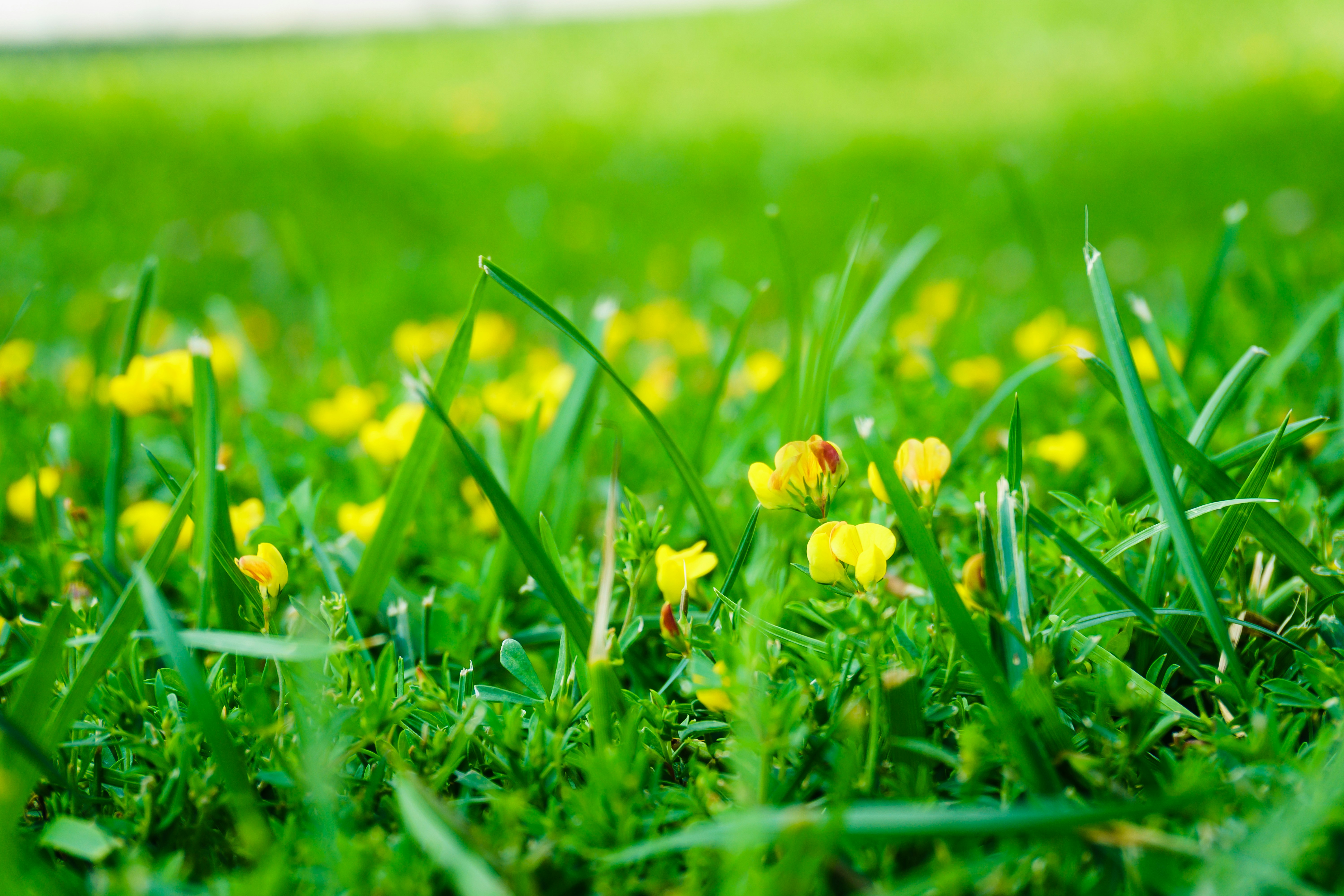 Photo by zulfugarkarimov