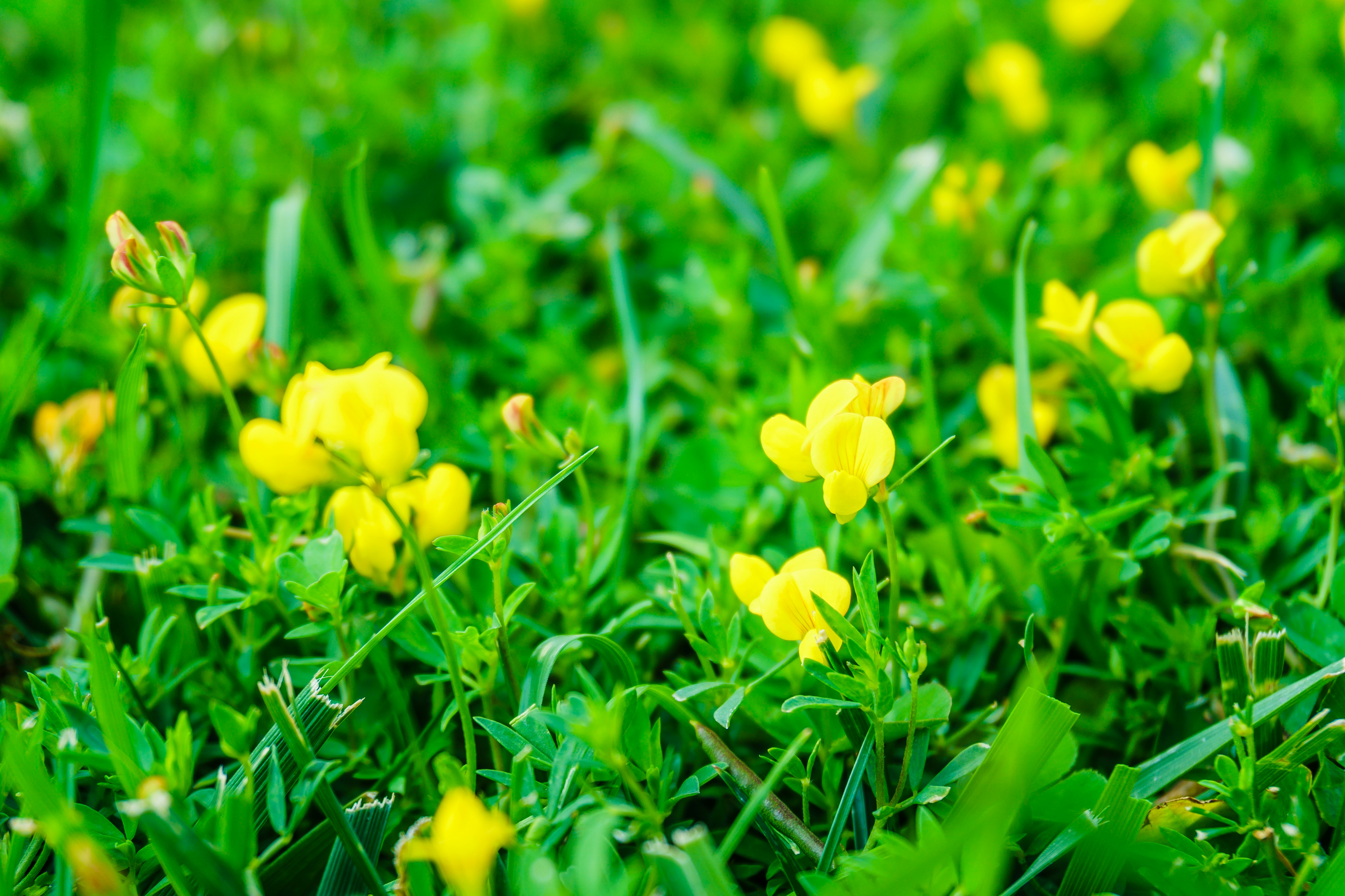 Photo by zulfugarkarimov