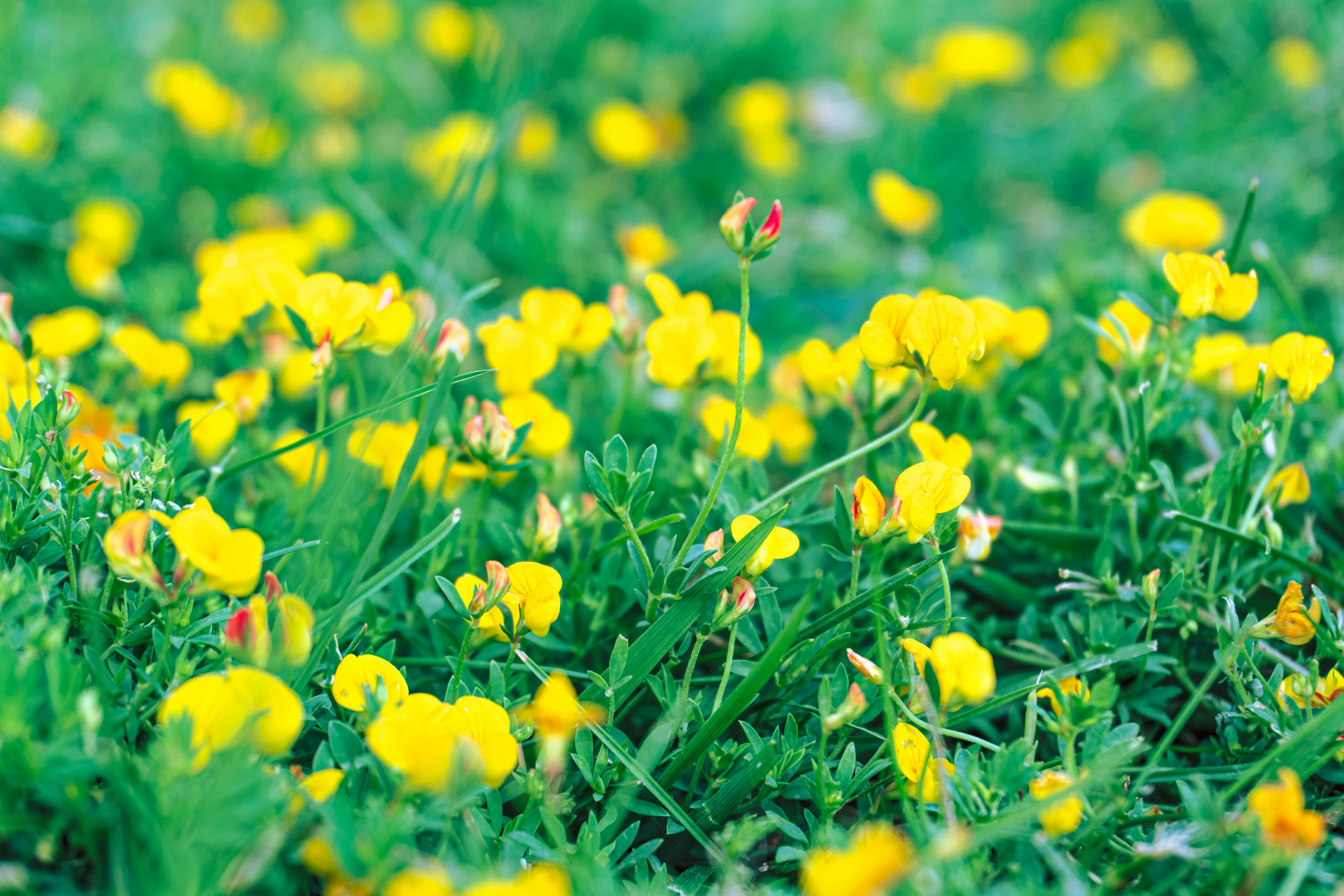 Photo by zulfugarkarimov