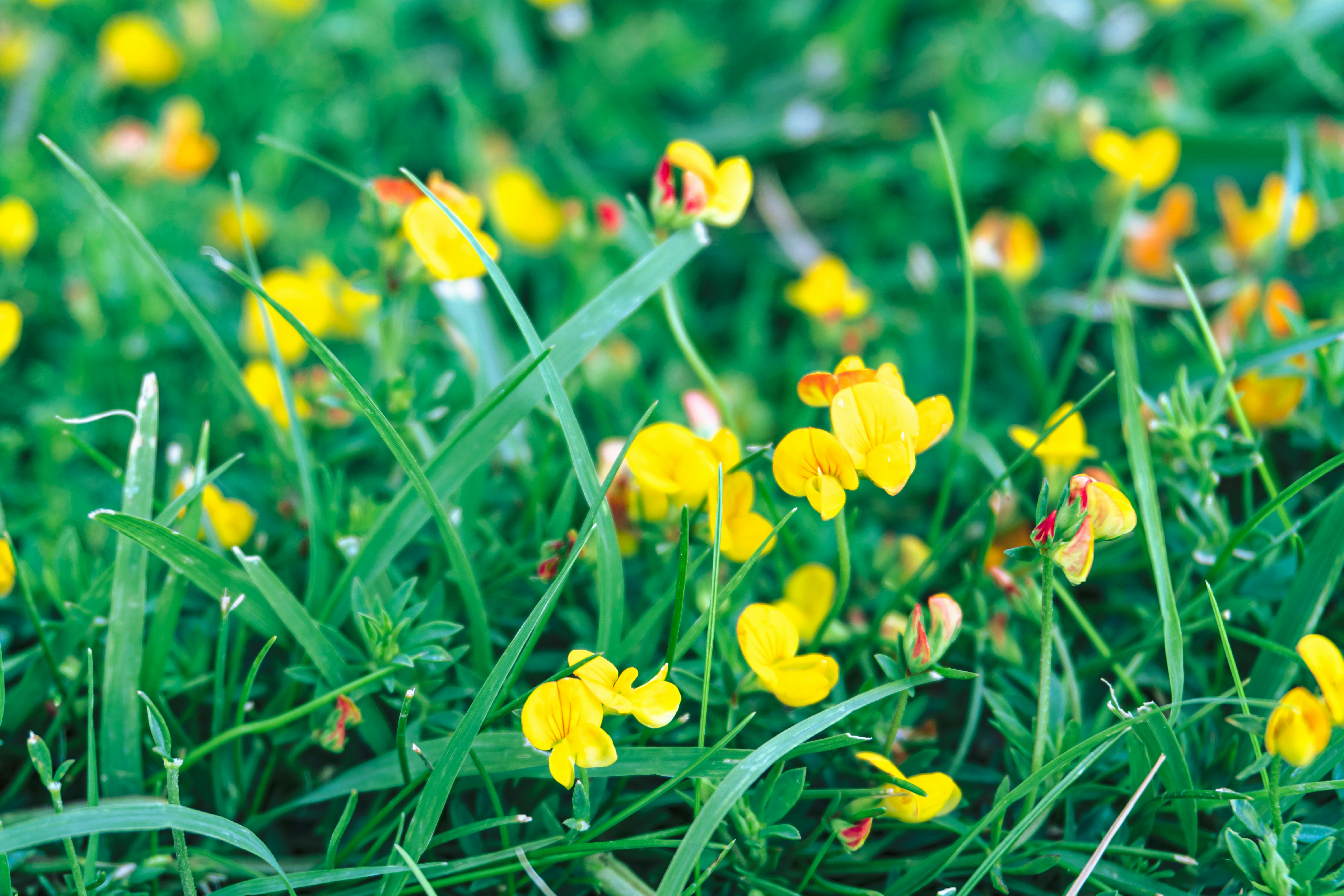 Photo by zulfugarkarimov