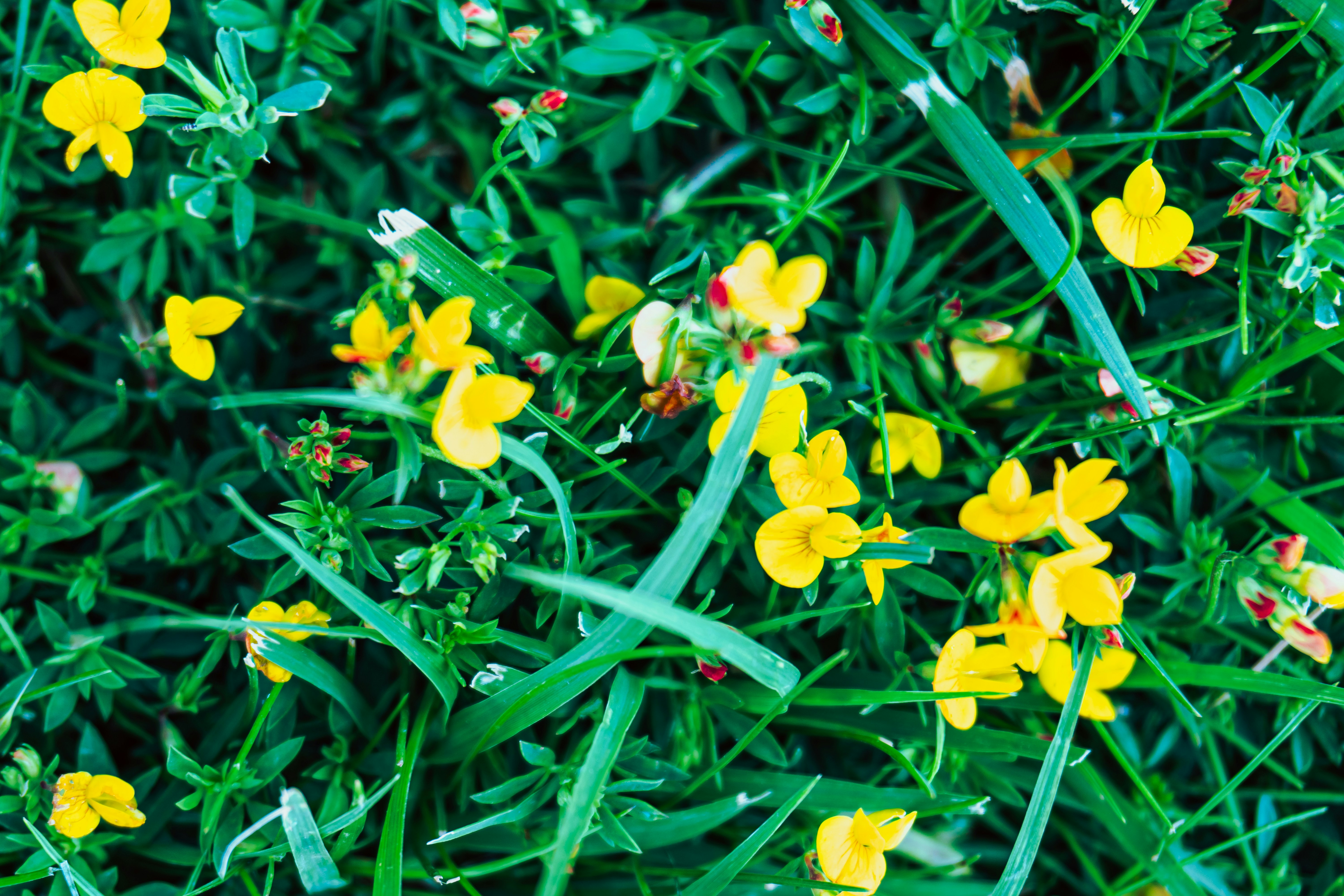 Photo by zulfugarkarimov