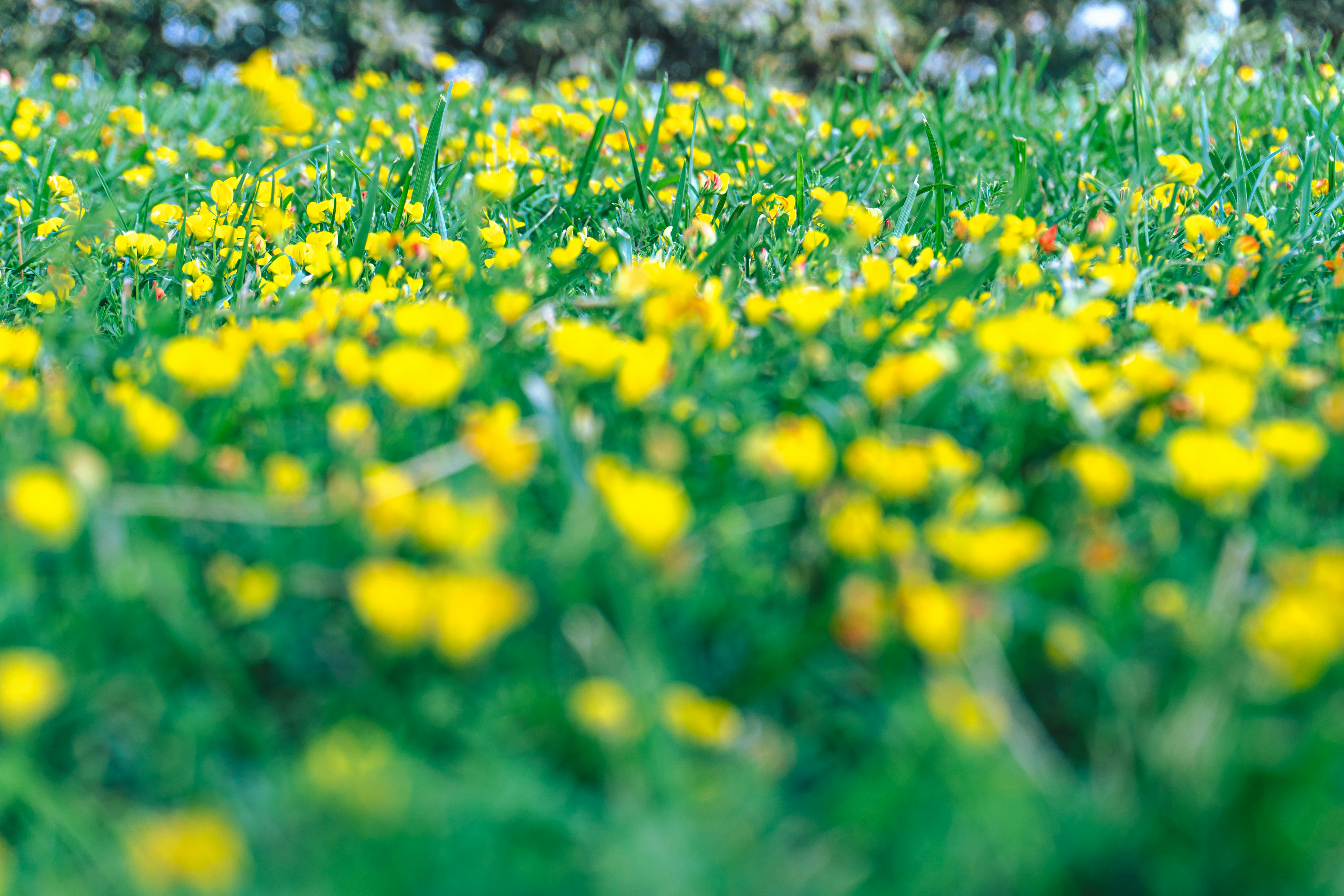 Photo by zulfugarkarimov